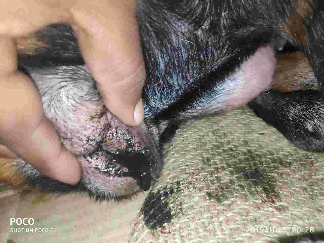 Question details sensitive content