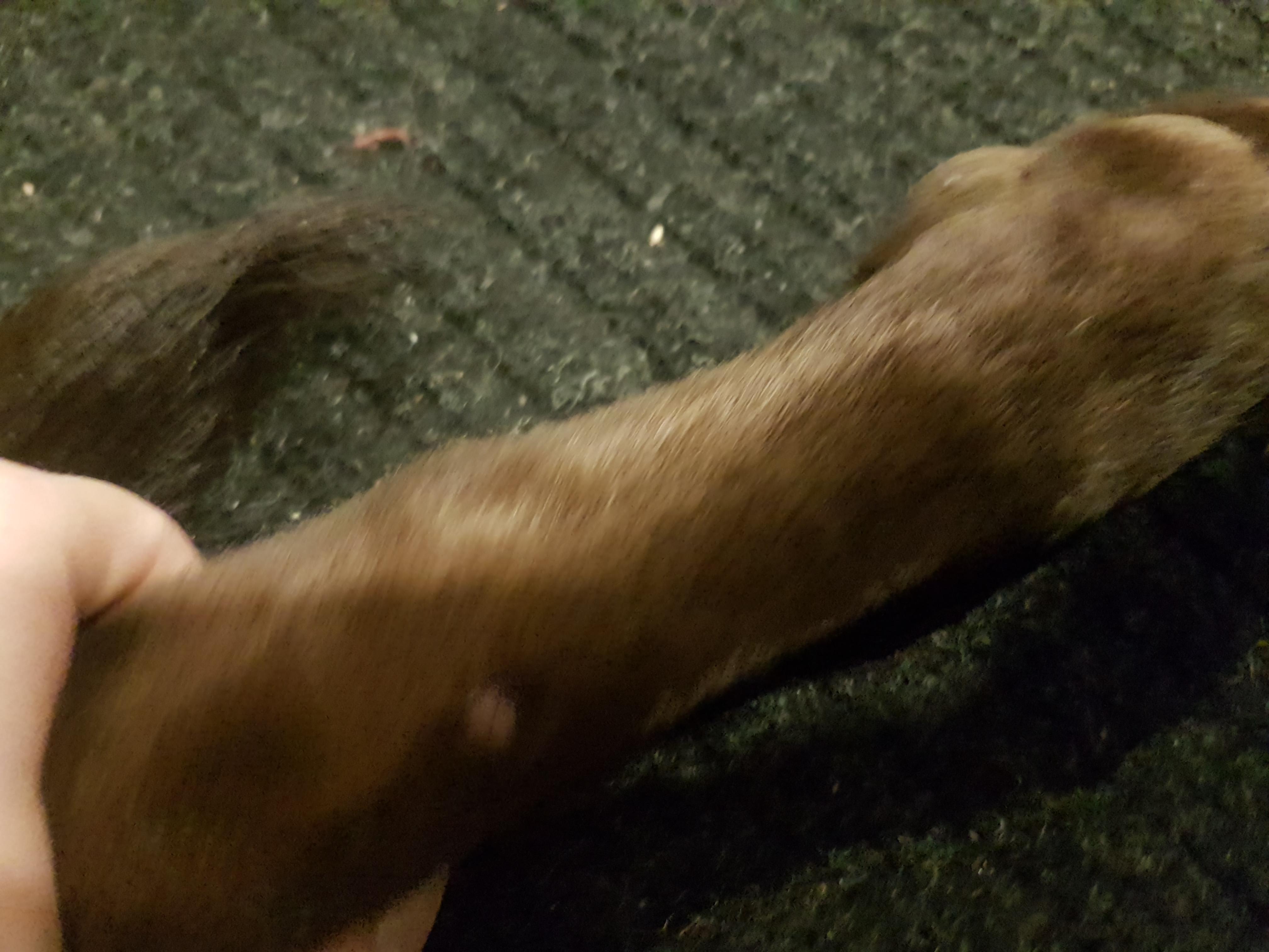 Question details sensitive content