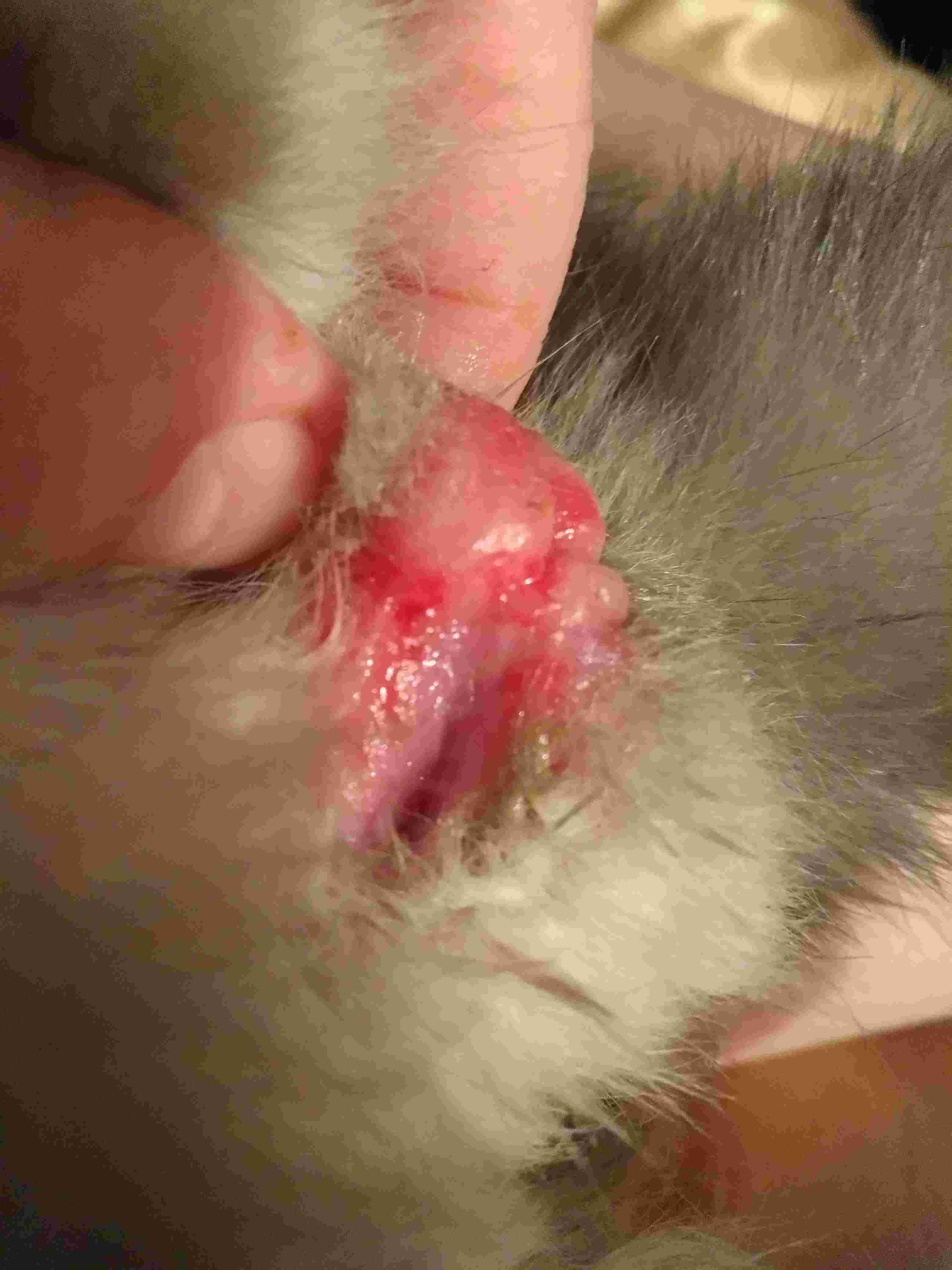 Question details sensitive content