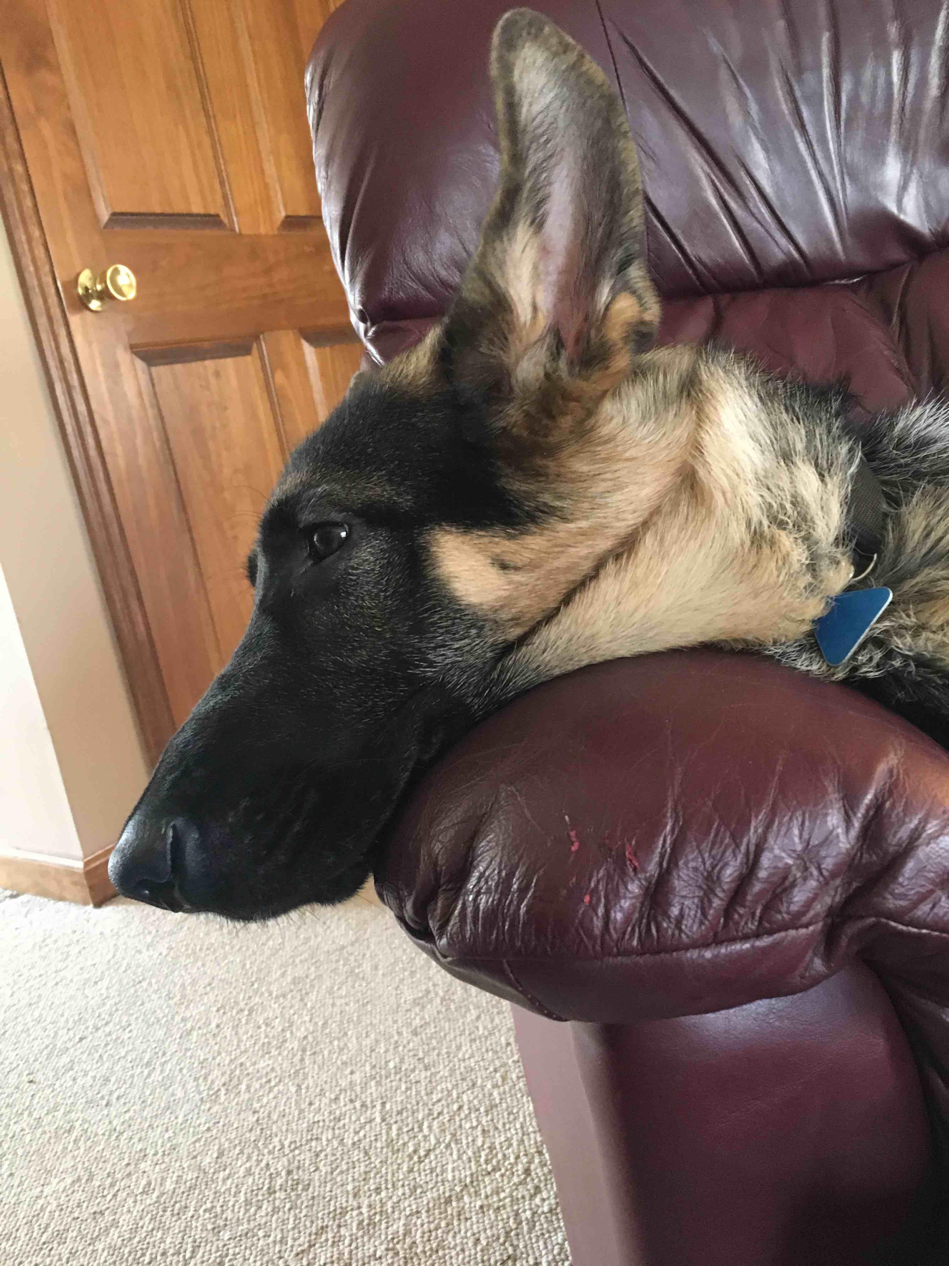 Question details sensitive content