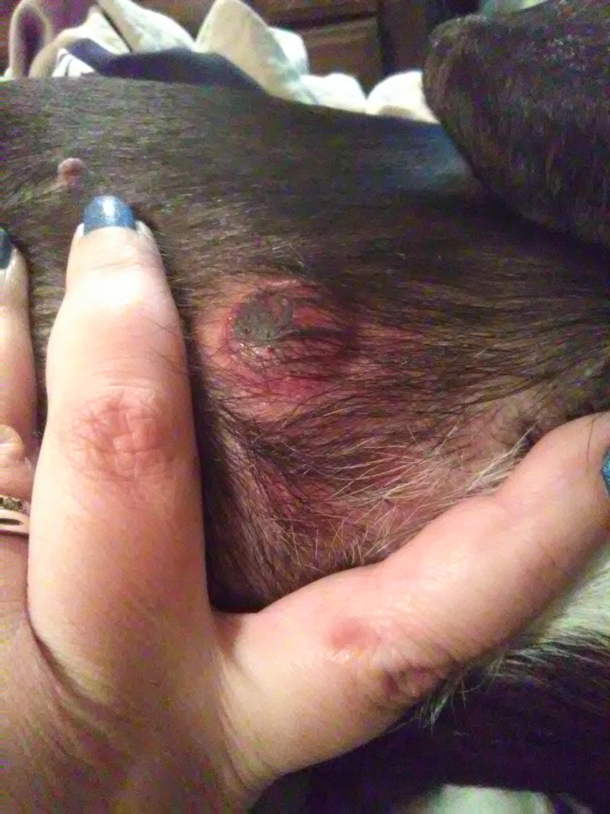 Question details sensitive content