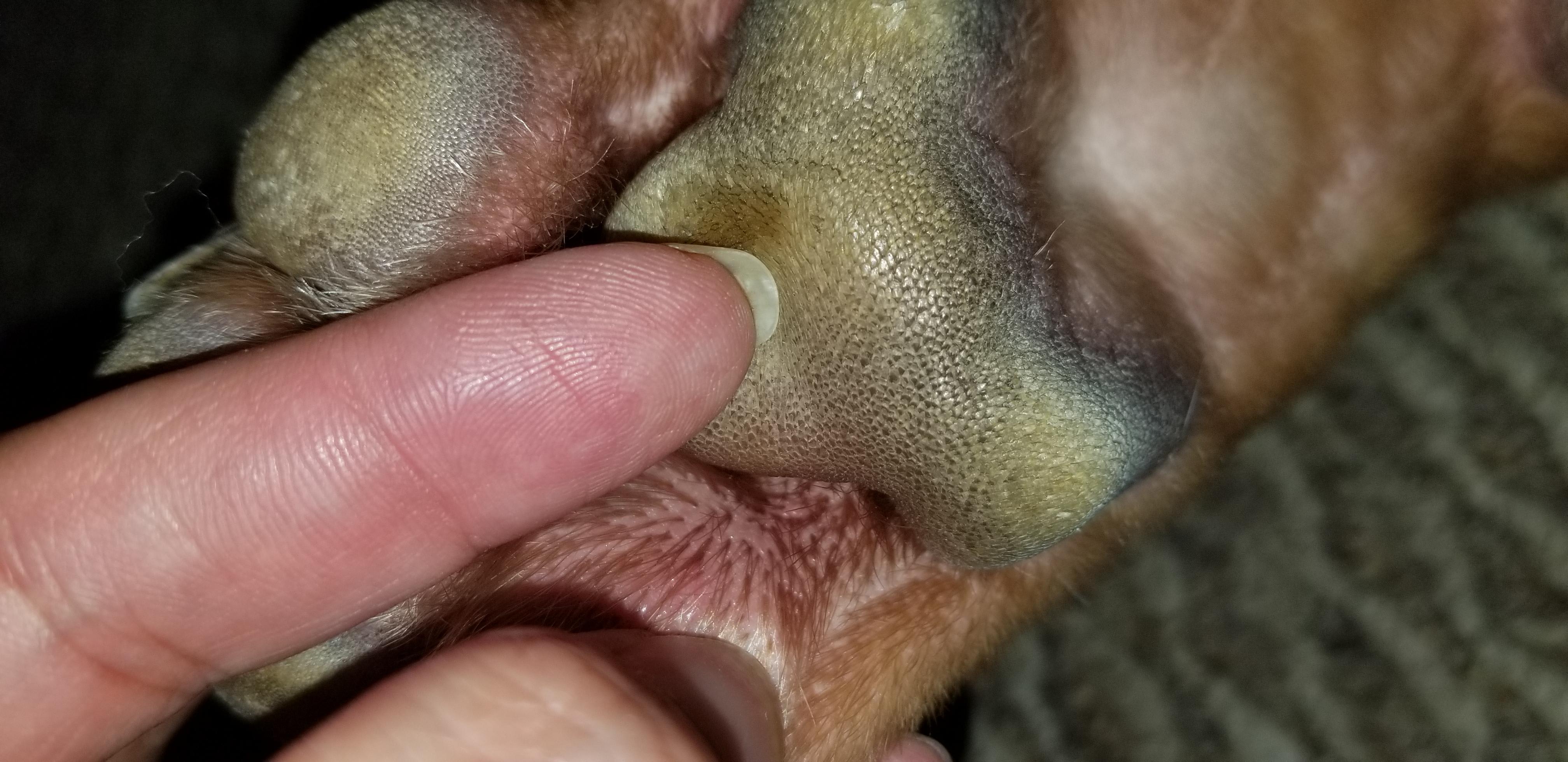 Question details sensitive content