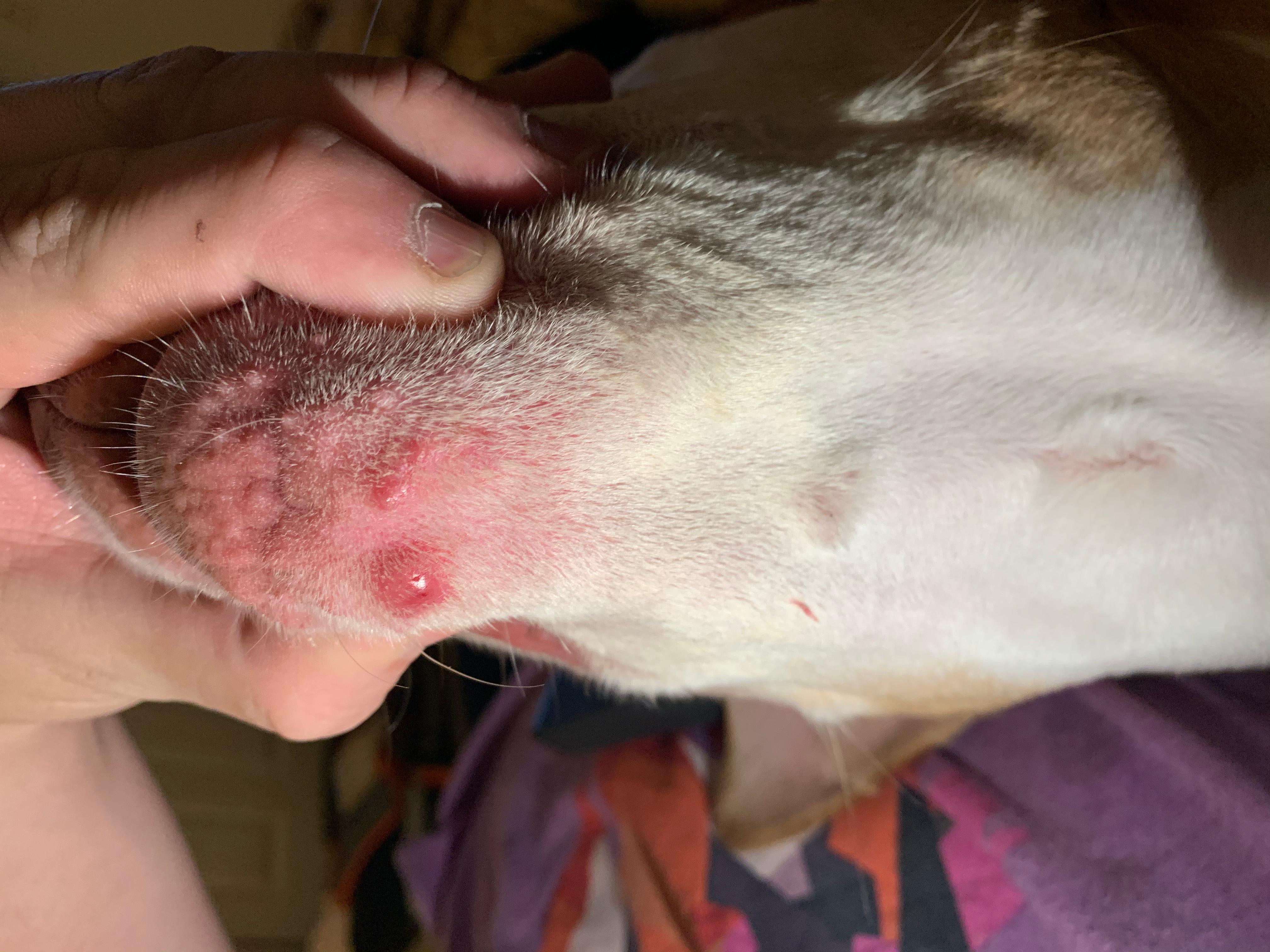 Question details sensitive content