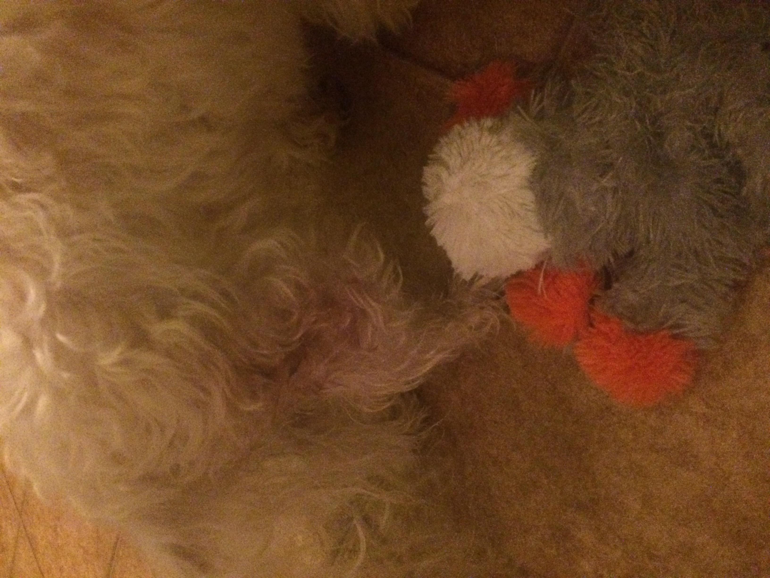 Question details sensitive content