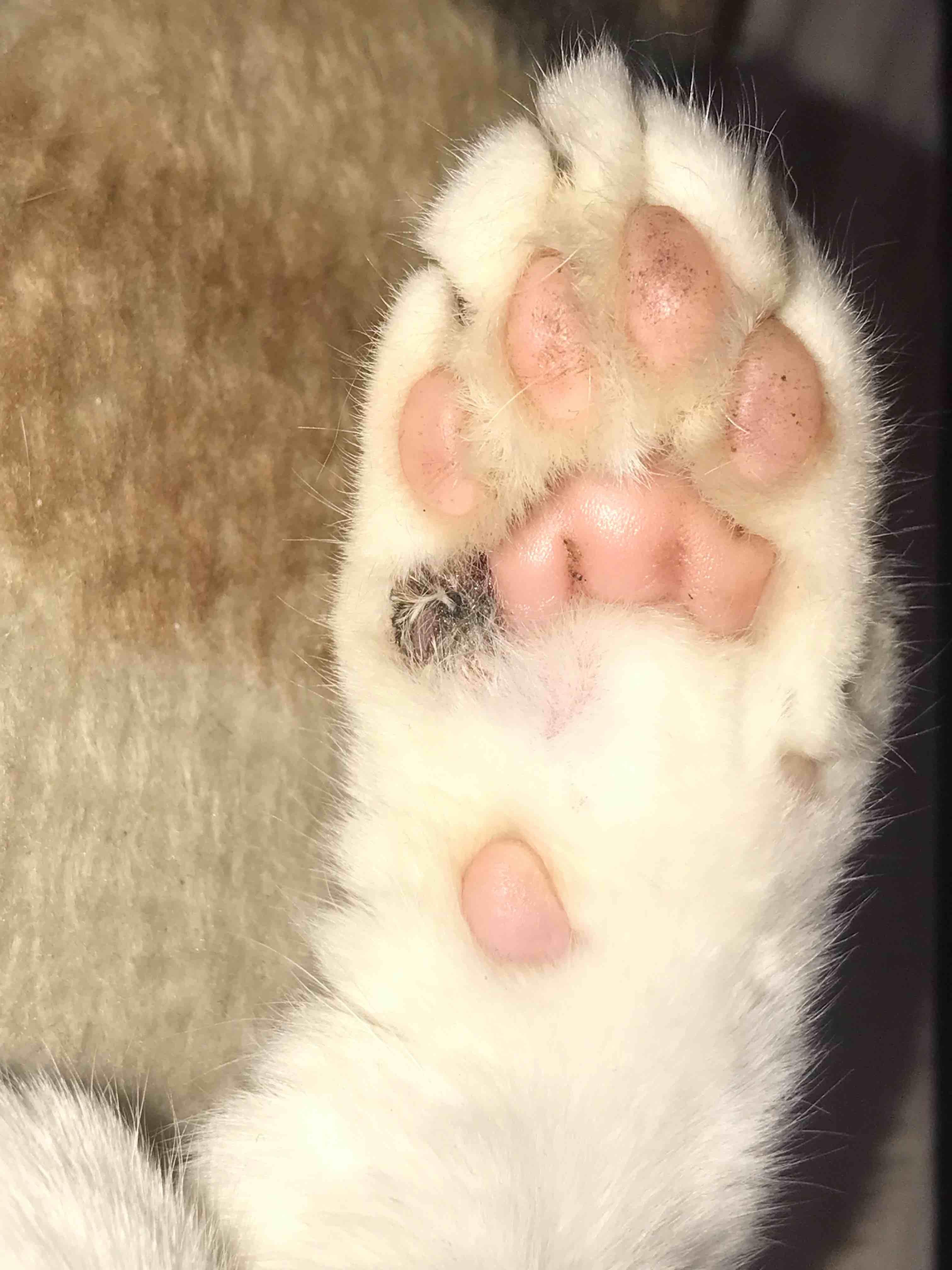 Question details sensitive content