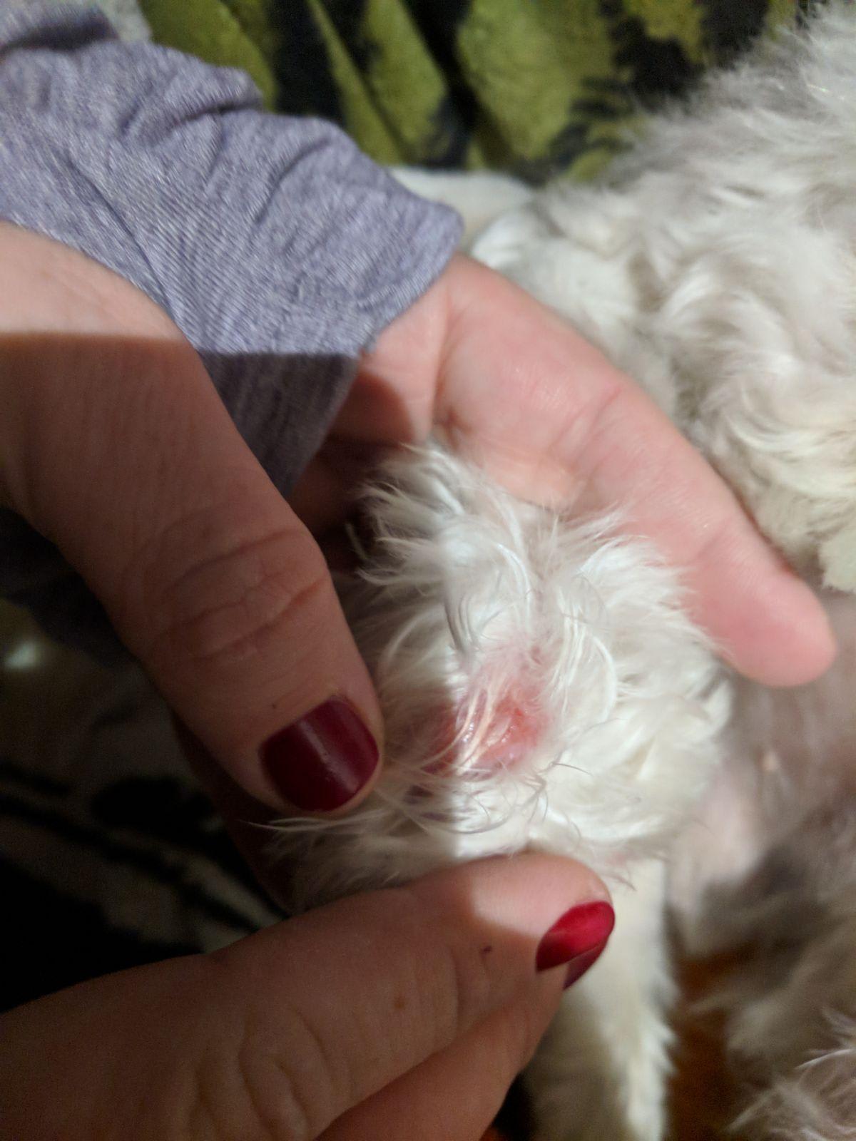 Question details sensitive content