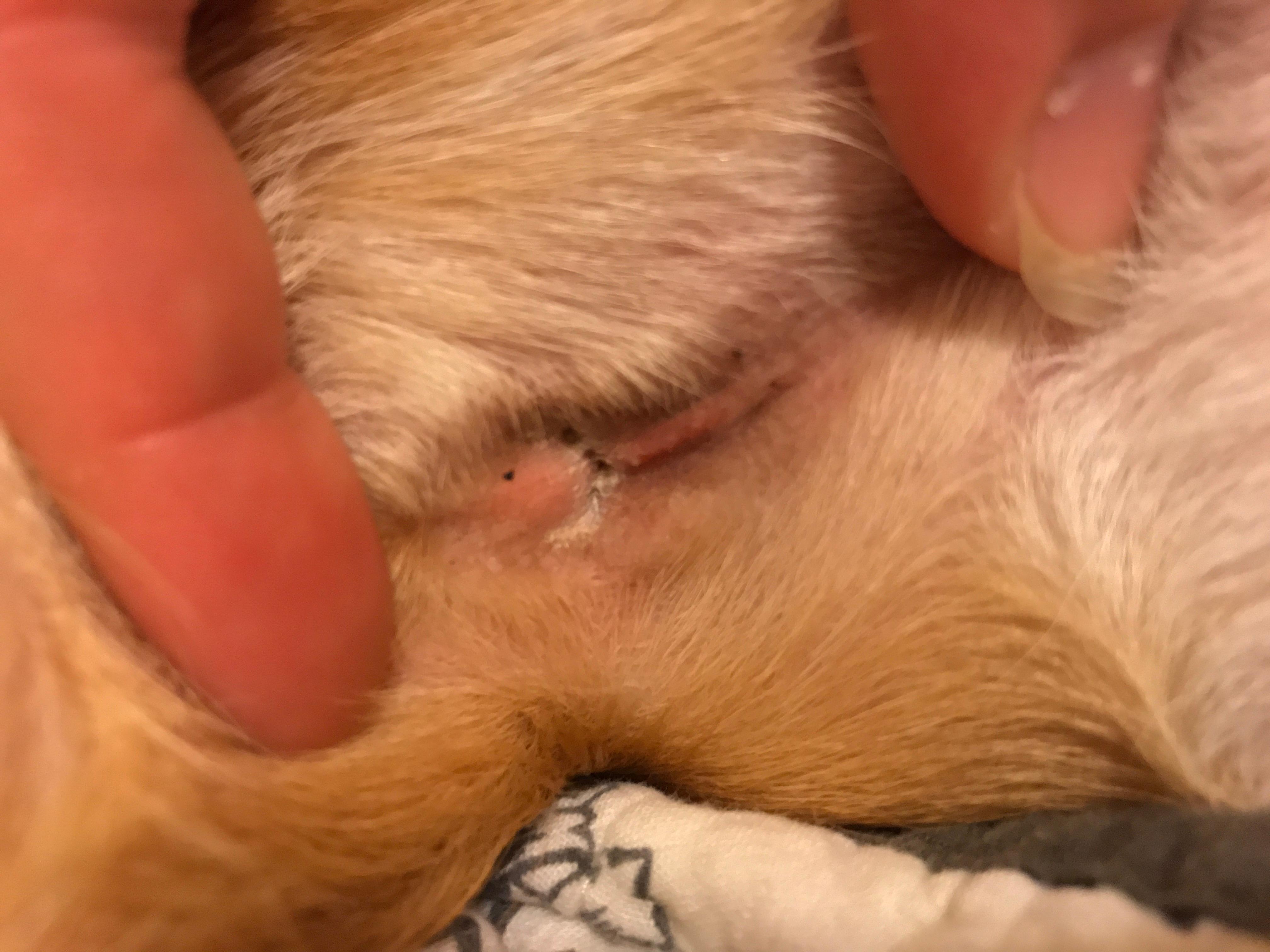 Question details sensitive content