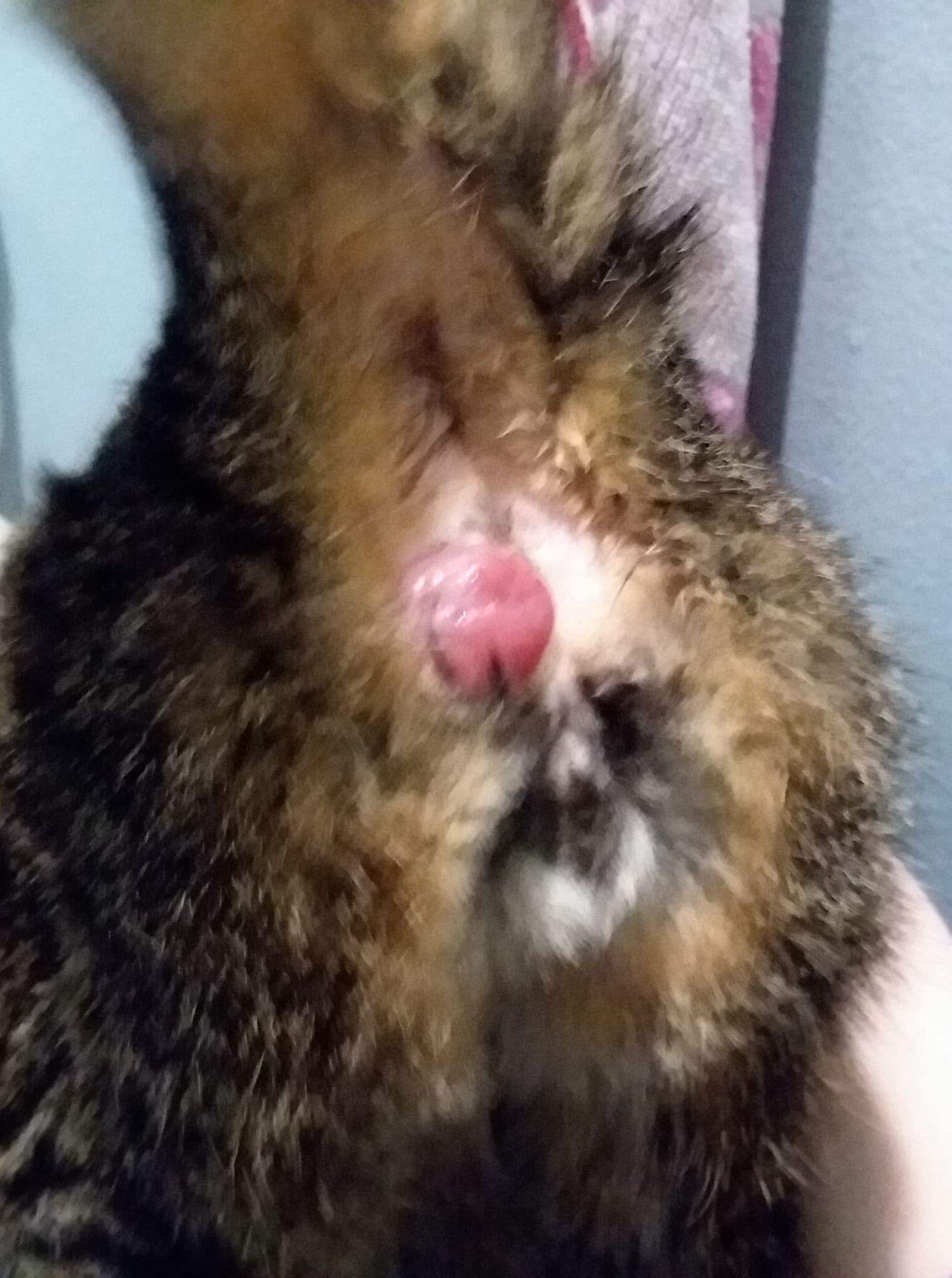 Question details sensitive content