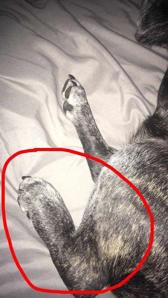 Question details sensitive content