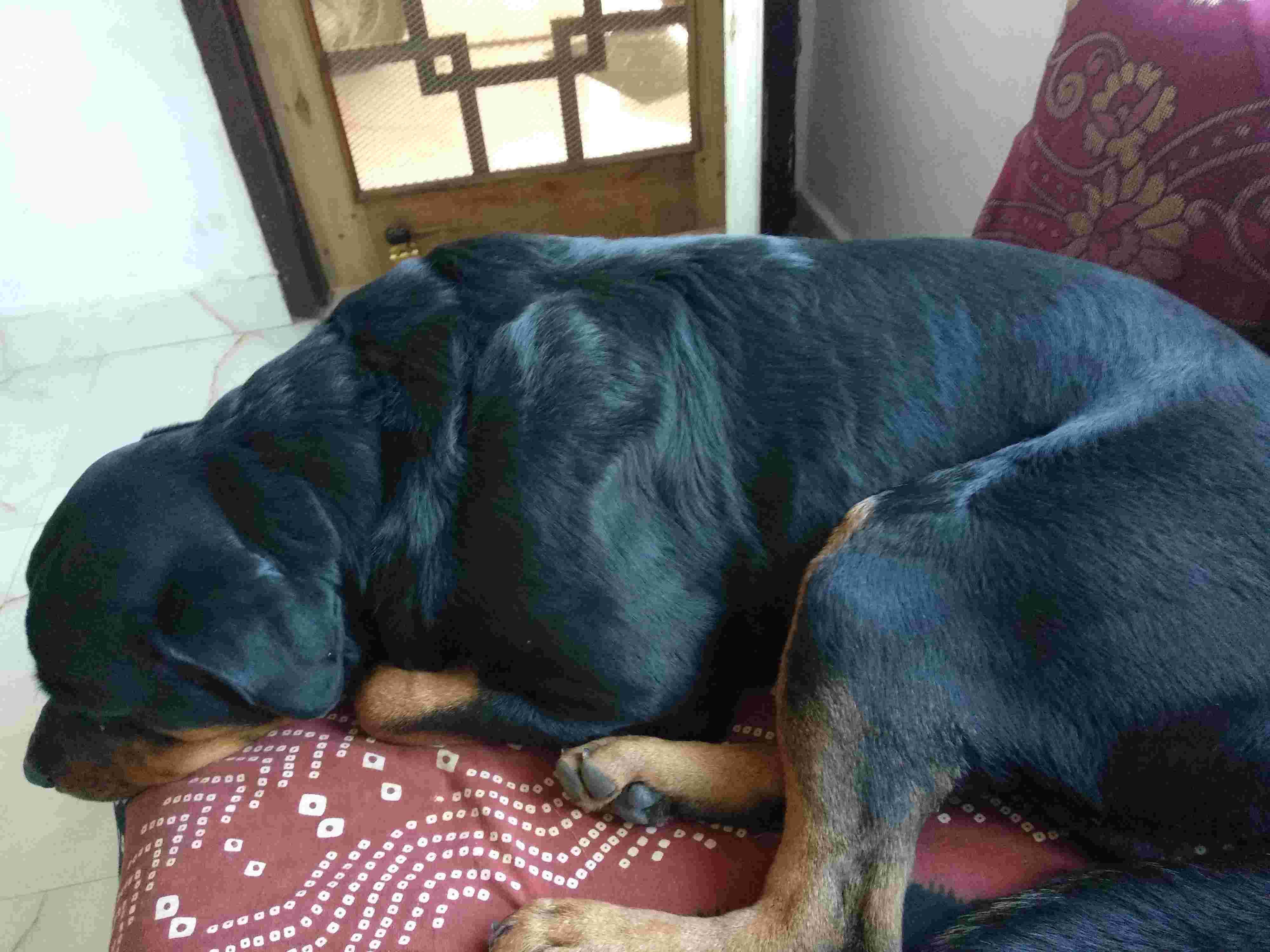 Question details sensitive content