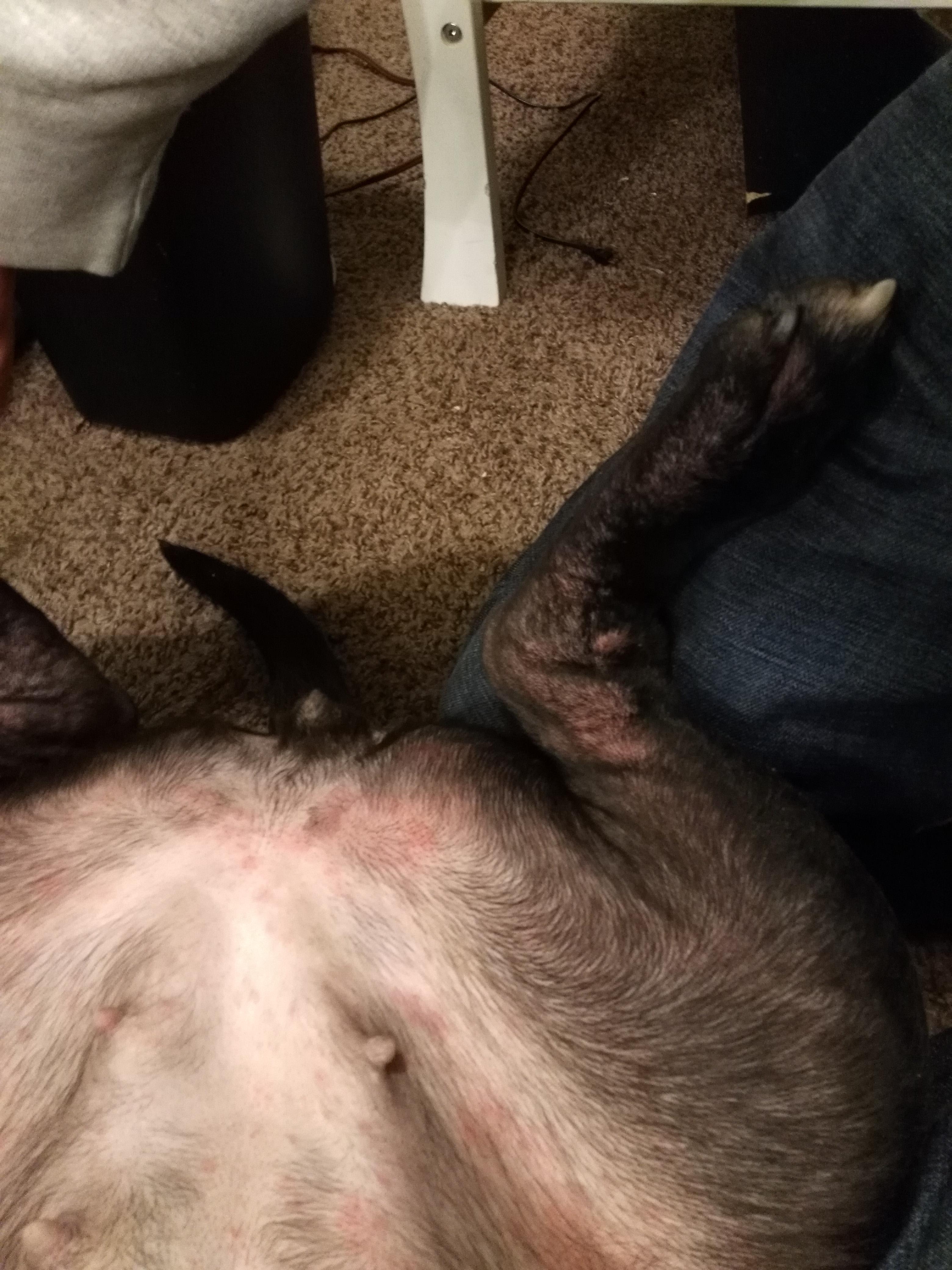 Question details sensitive content