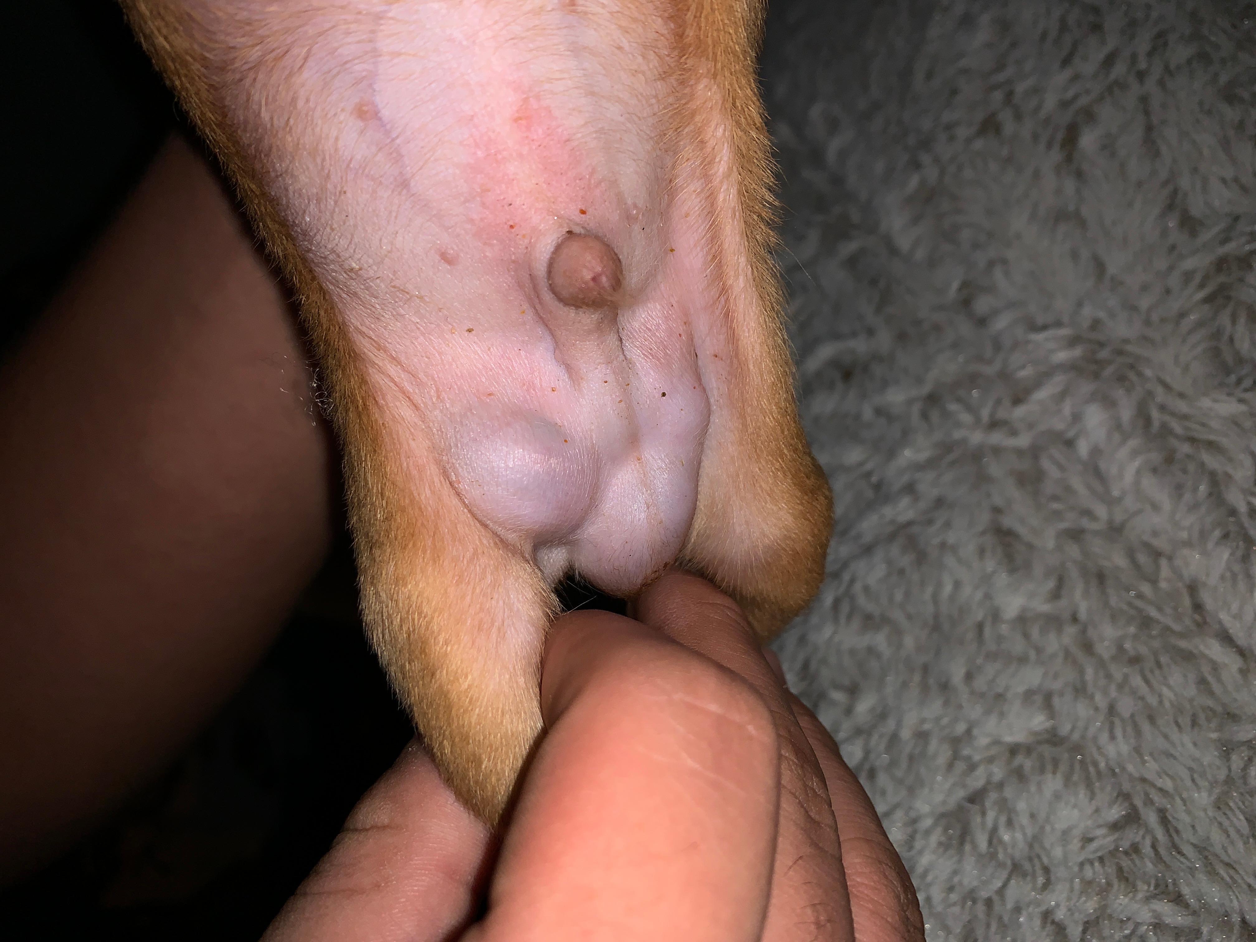 Question details sensitive content