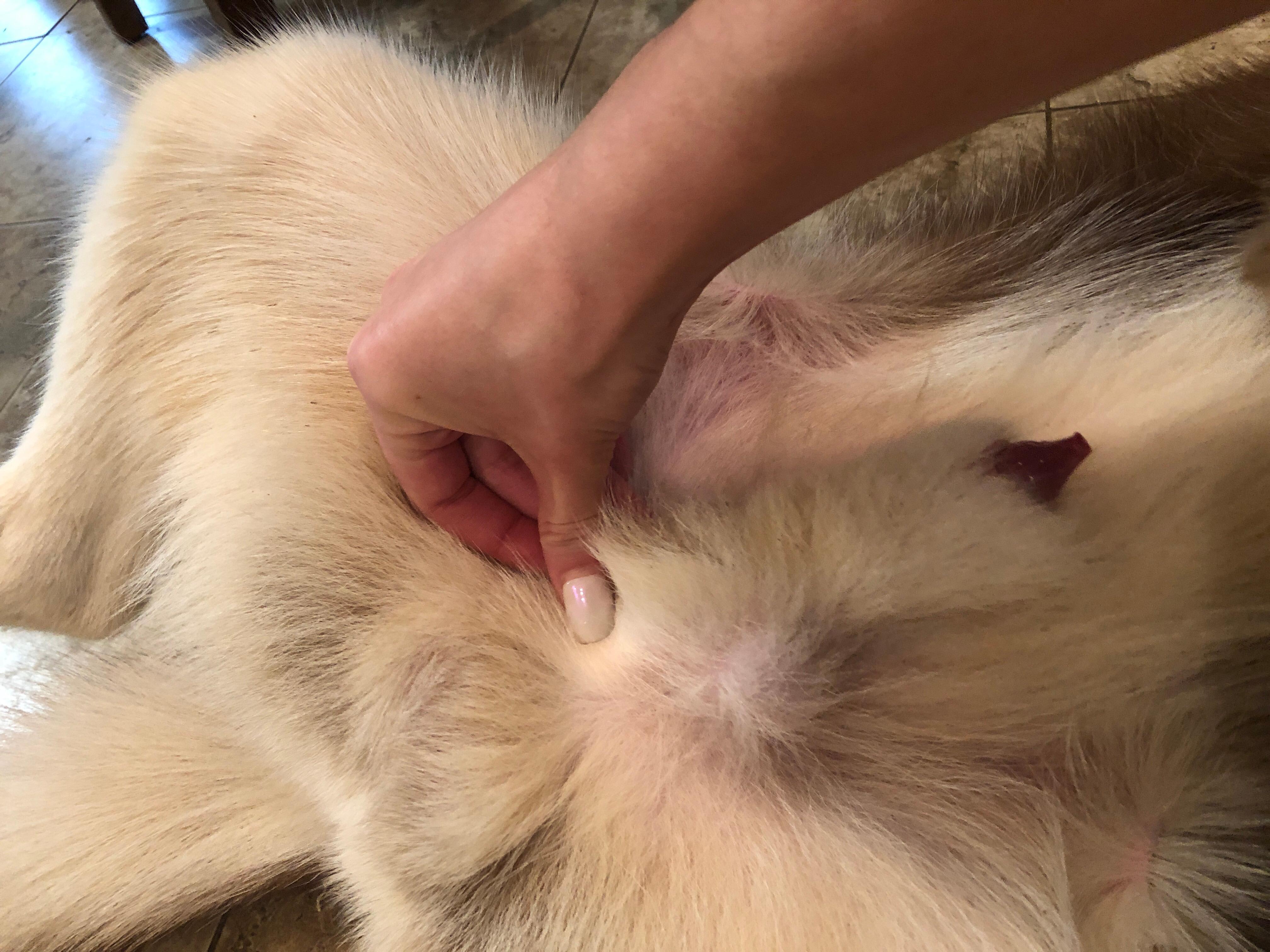 Question details sensitive content