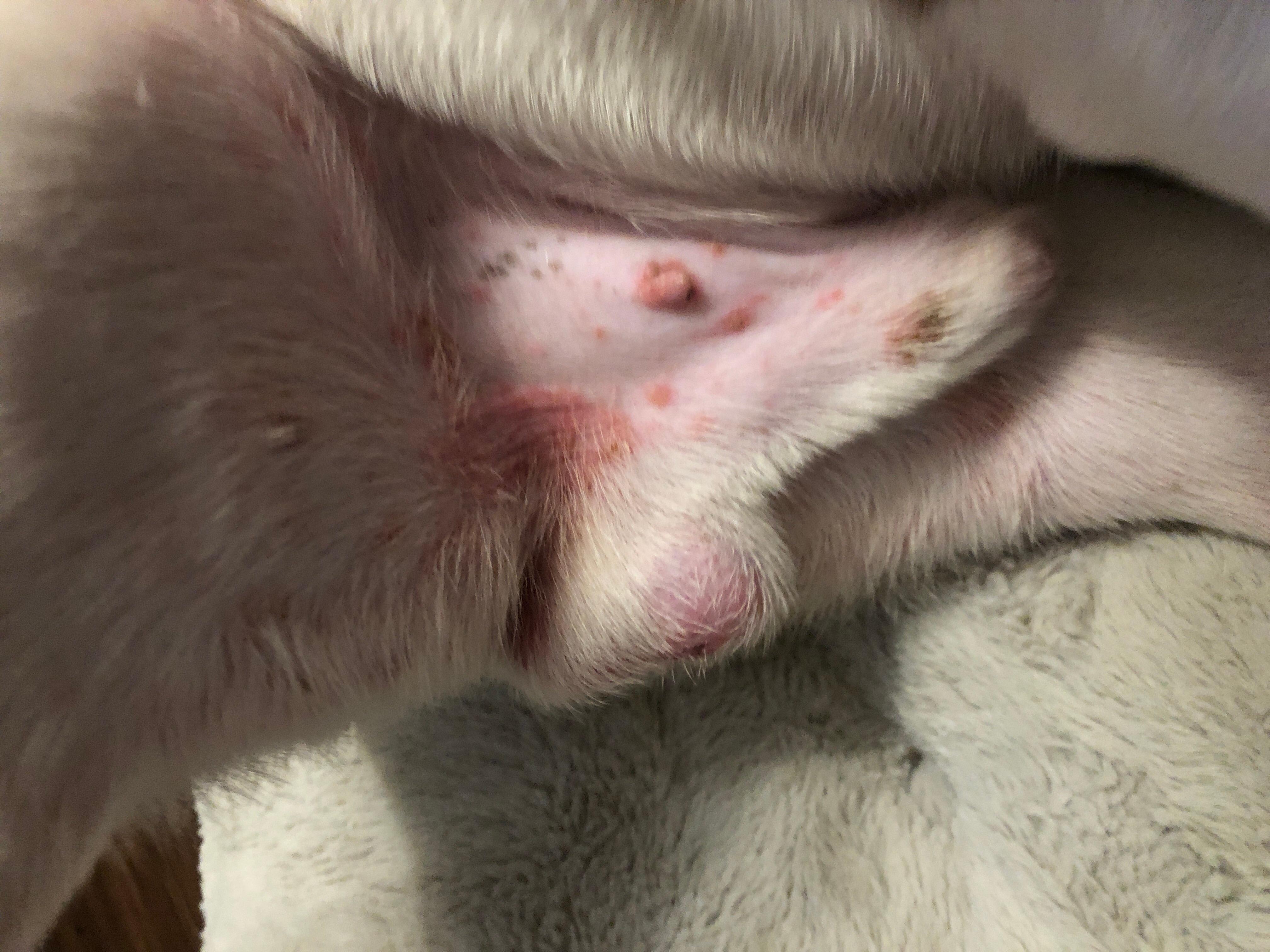 Question details sensitive content