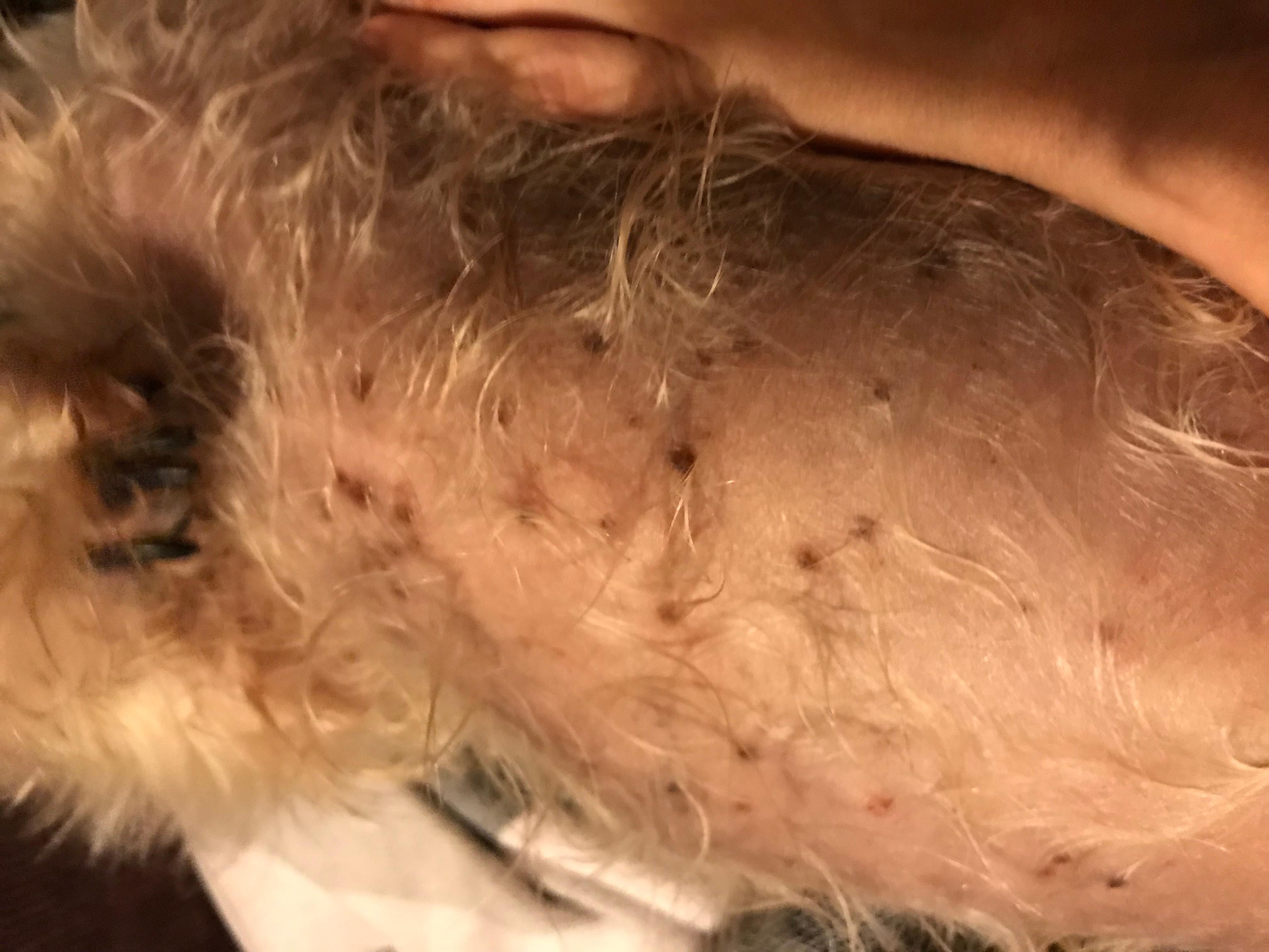 Question details sensitive content