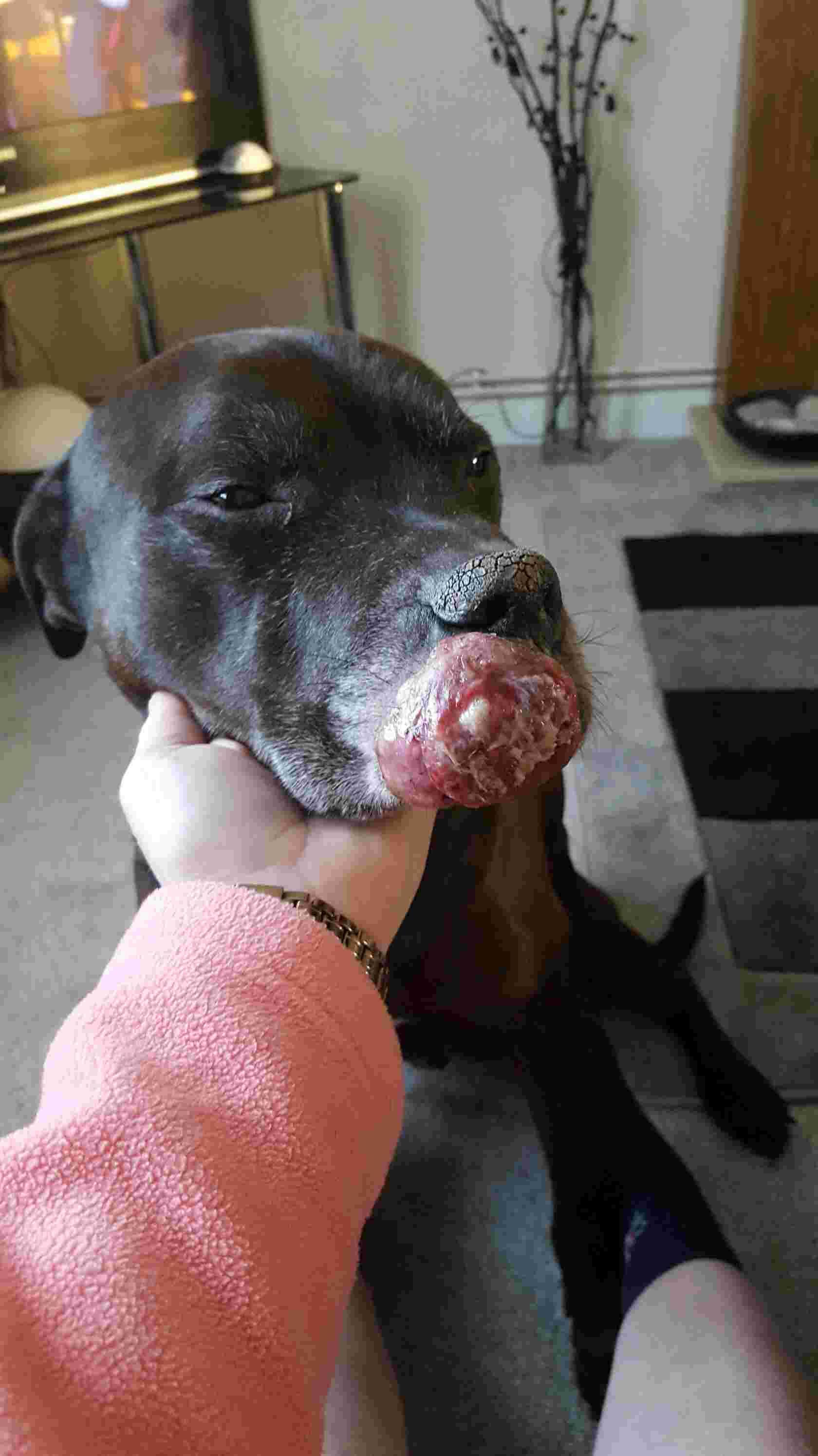 Question details sensitive content