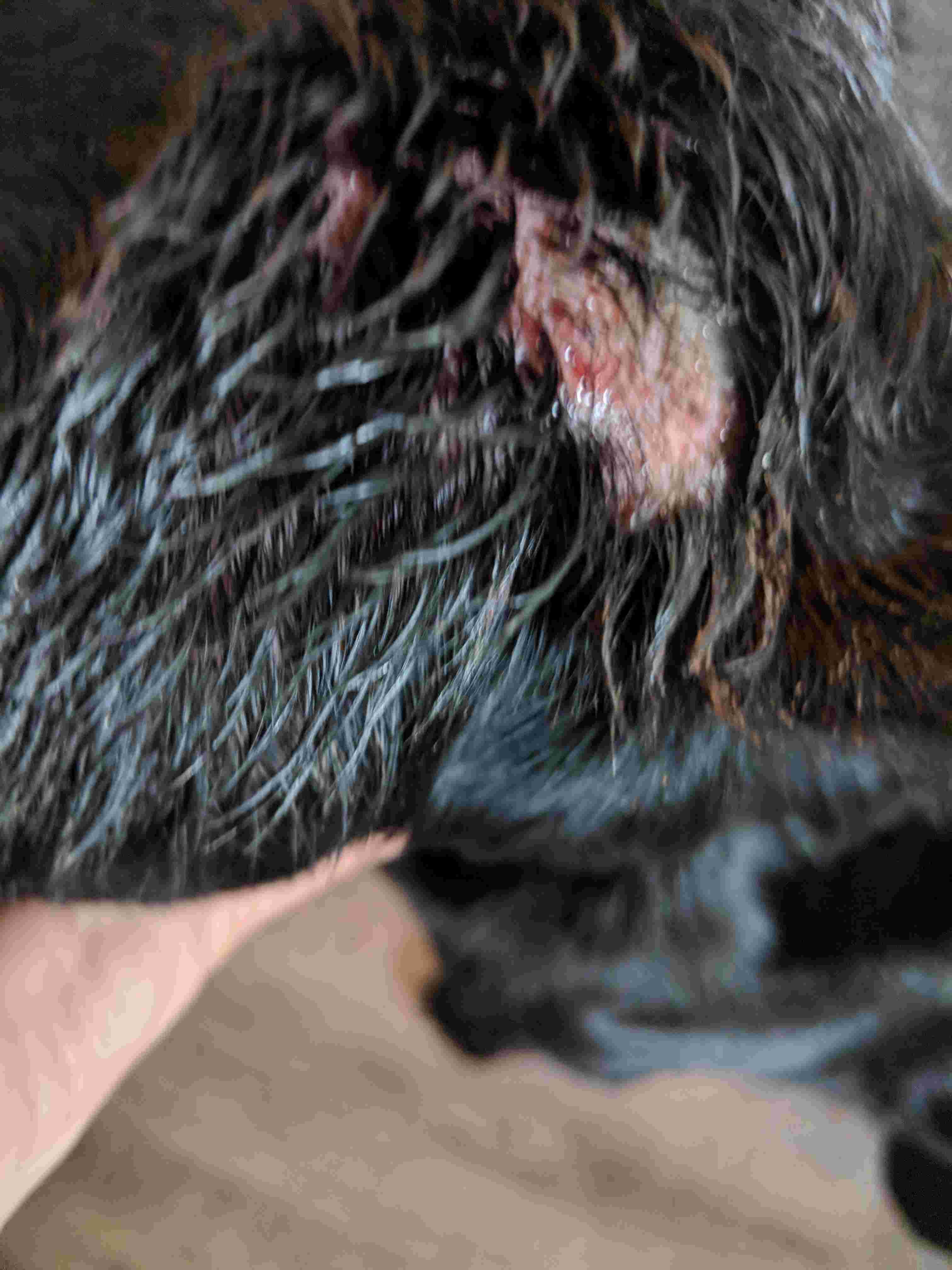 Question details sensitive content