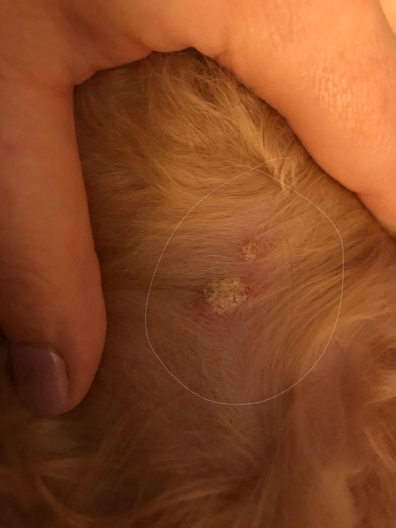 Question details sensitive content