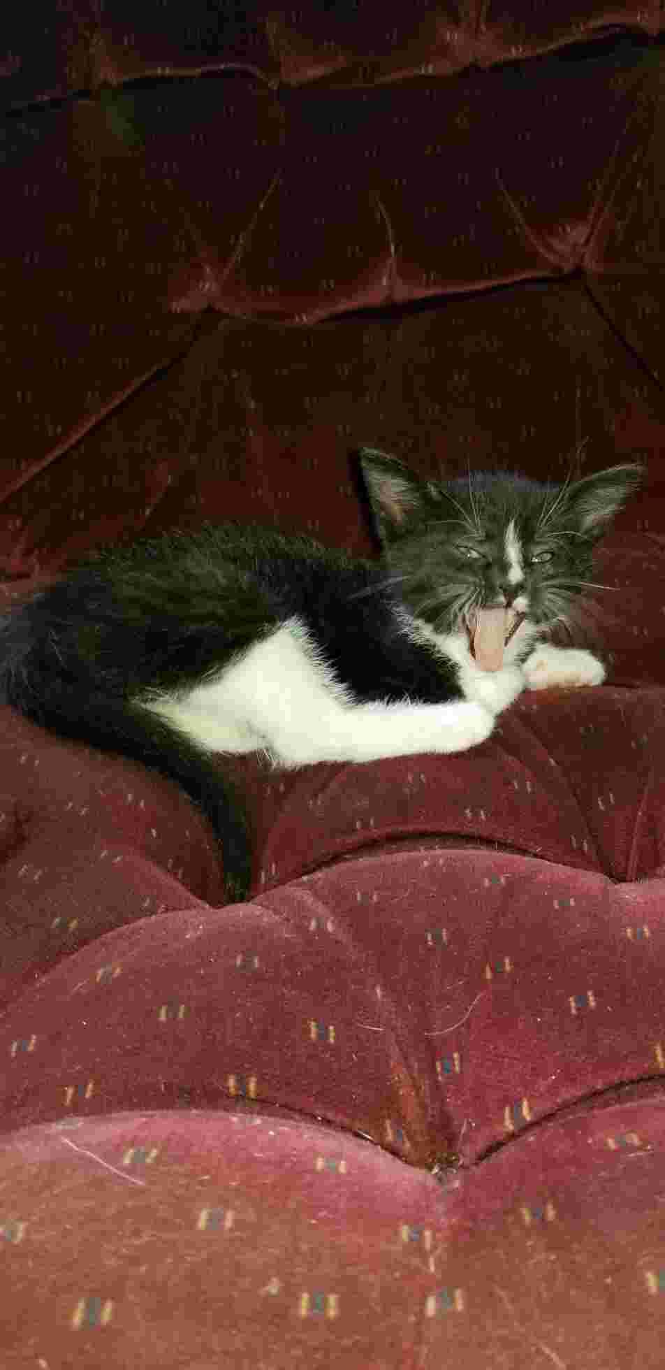 Question details sensitive content