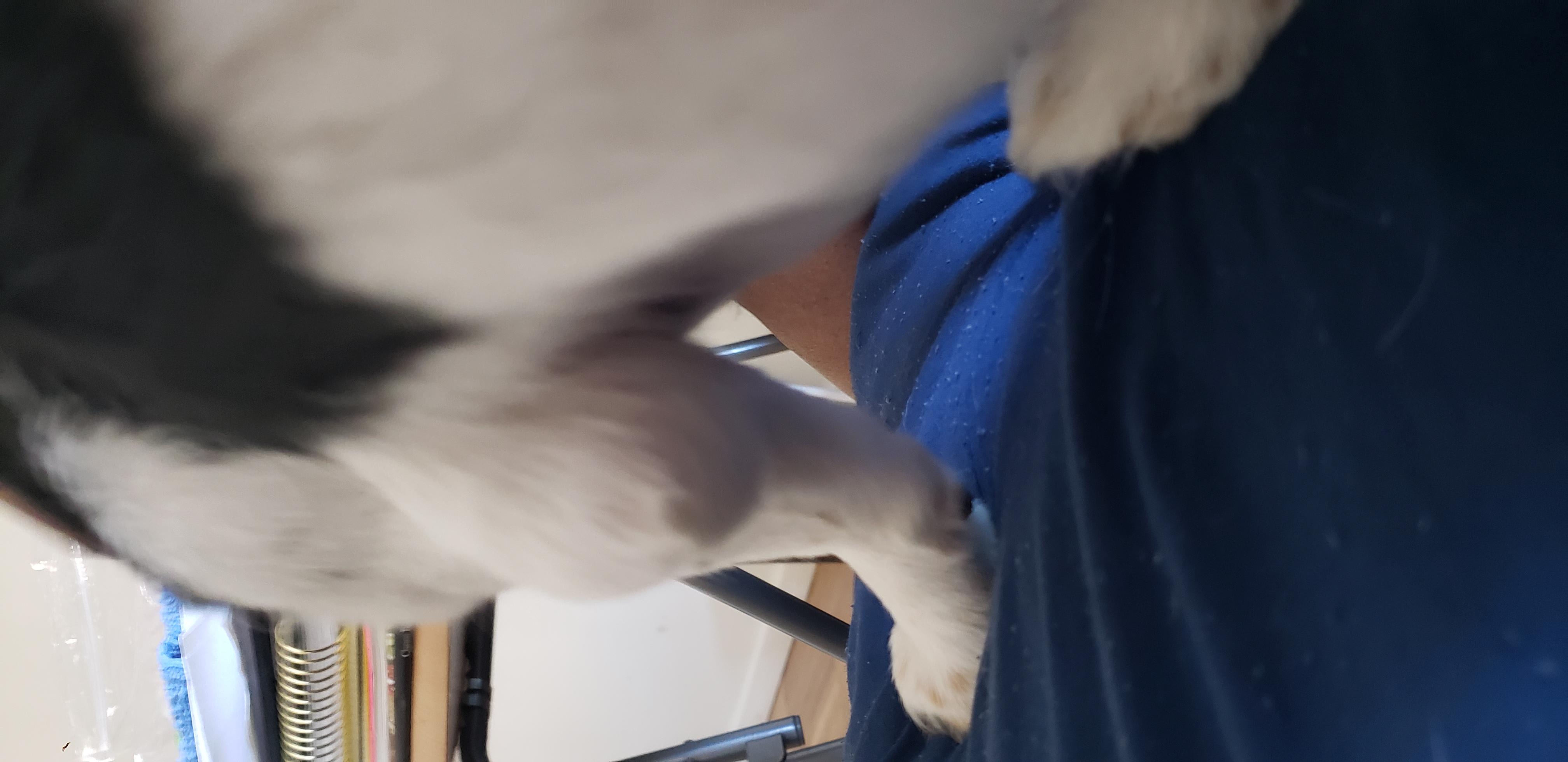 Question details sensitive content