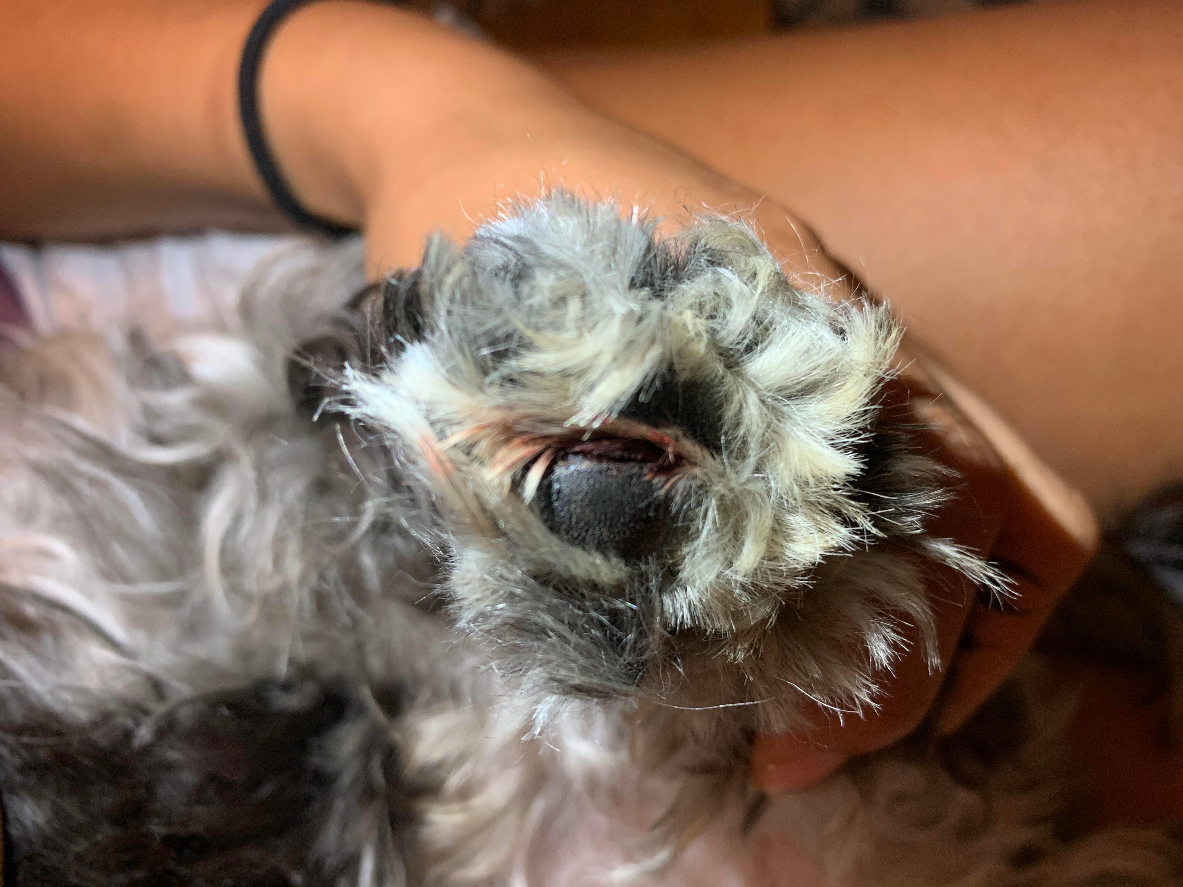 Question details sensitive content