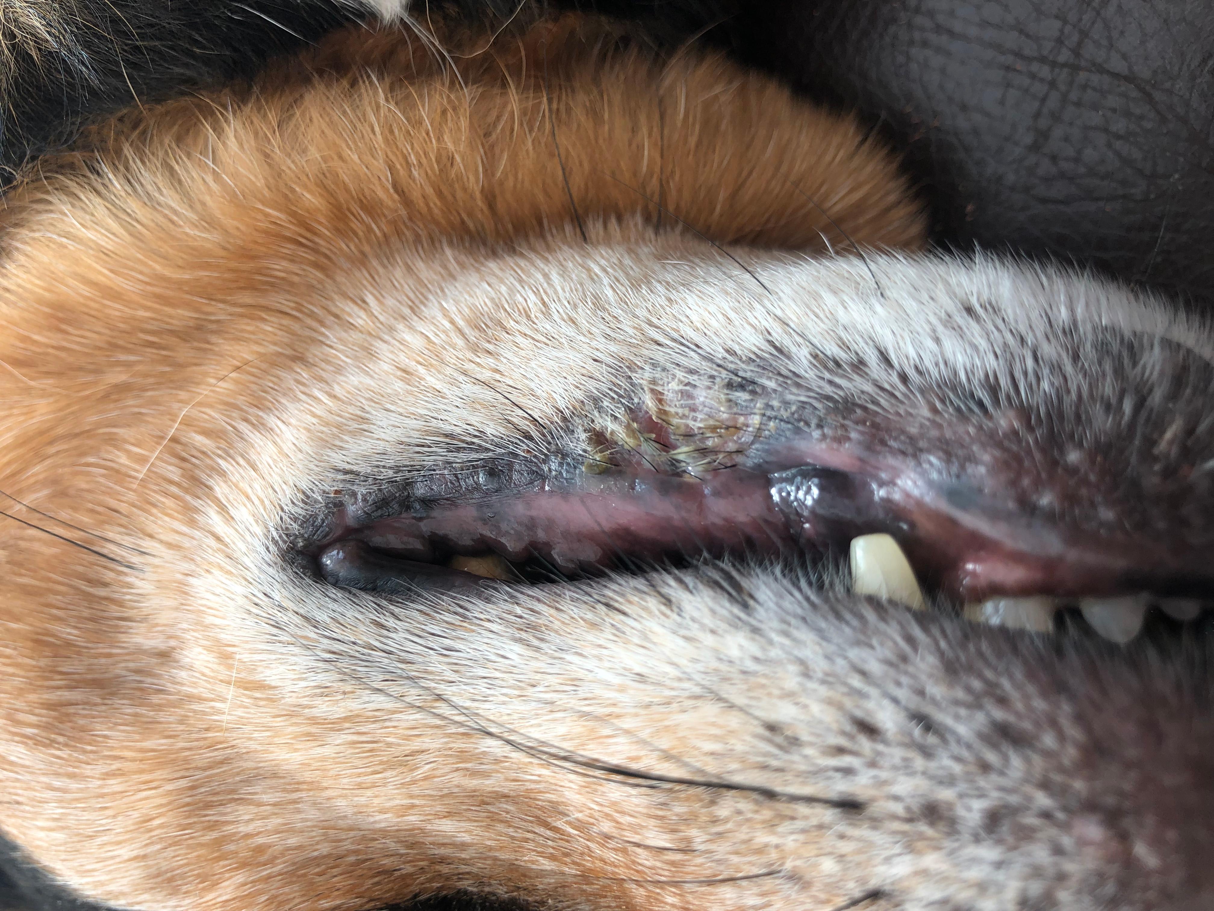 Question details sensitive content