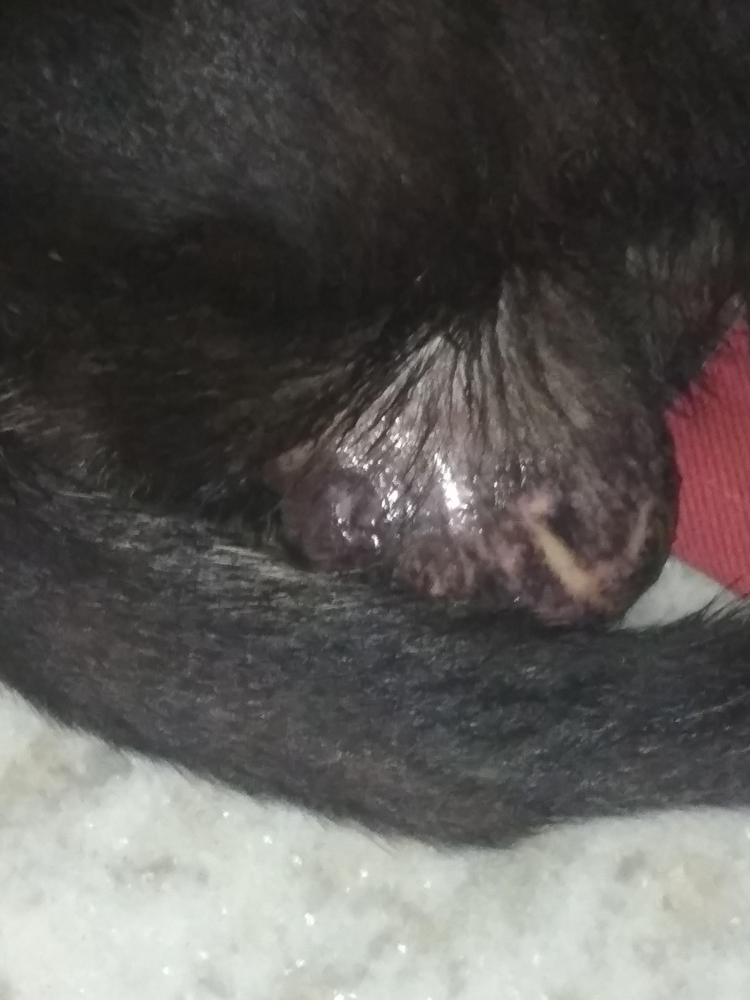 Question details sensitive content