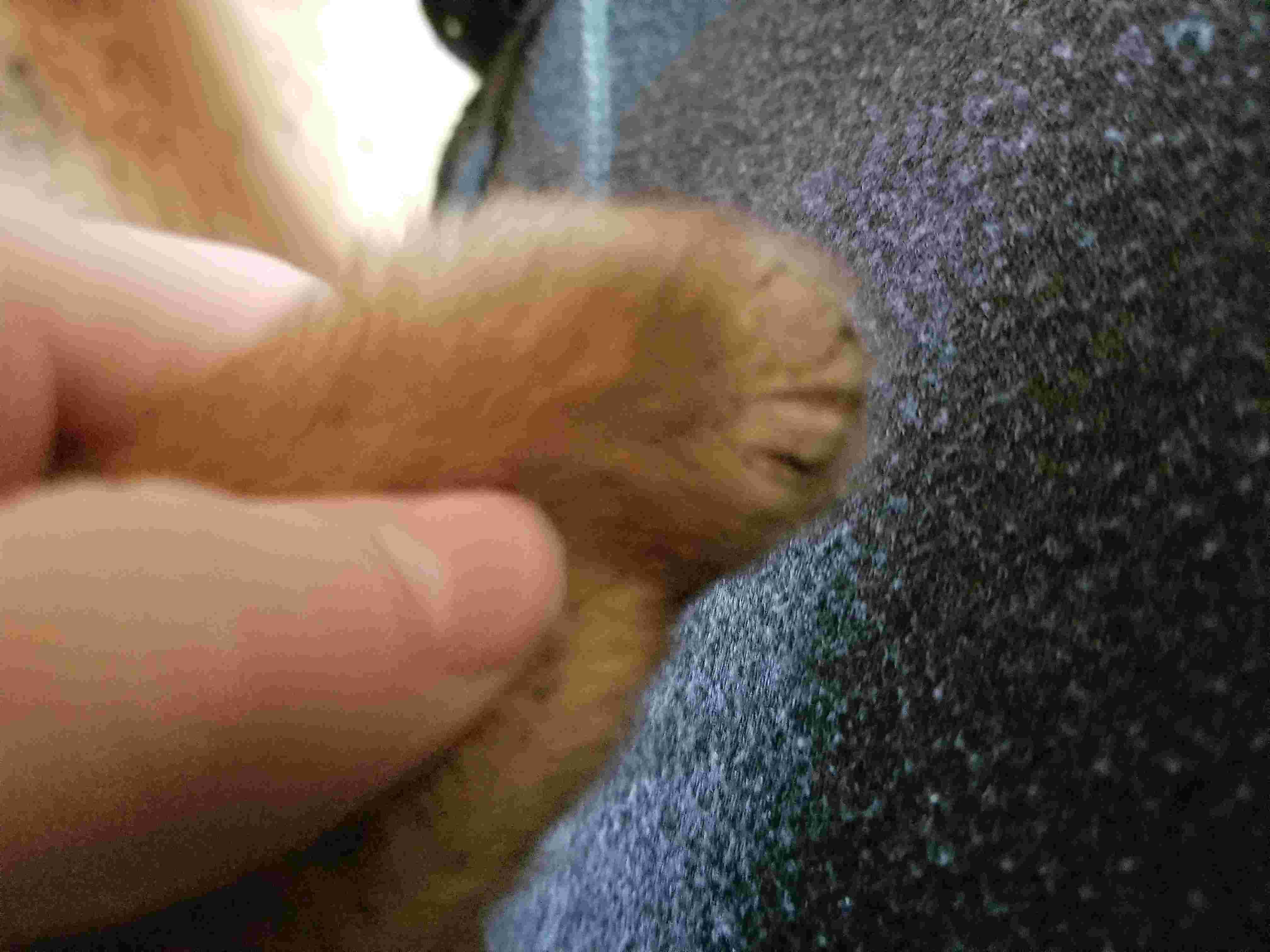 Question details sensitive content