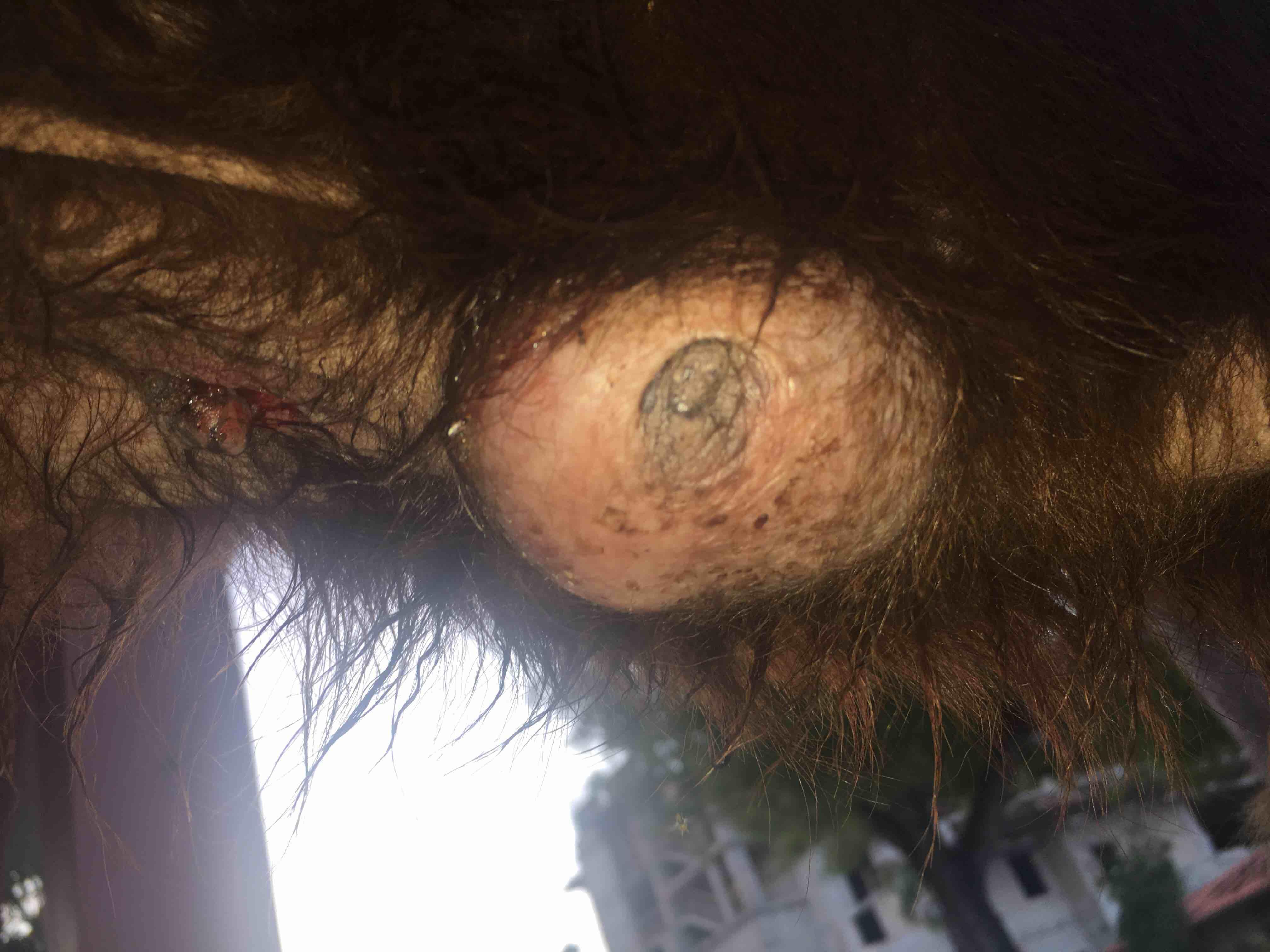 Question details sensitive content