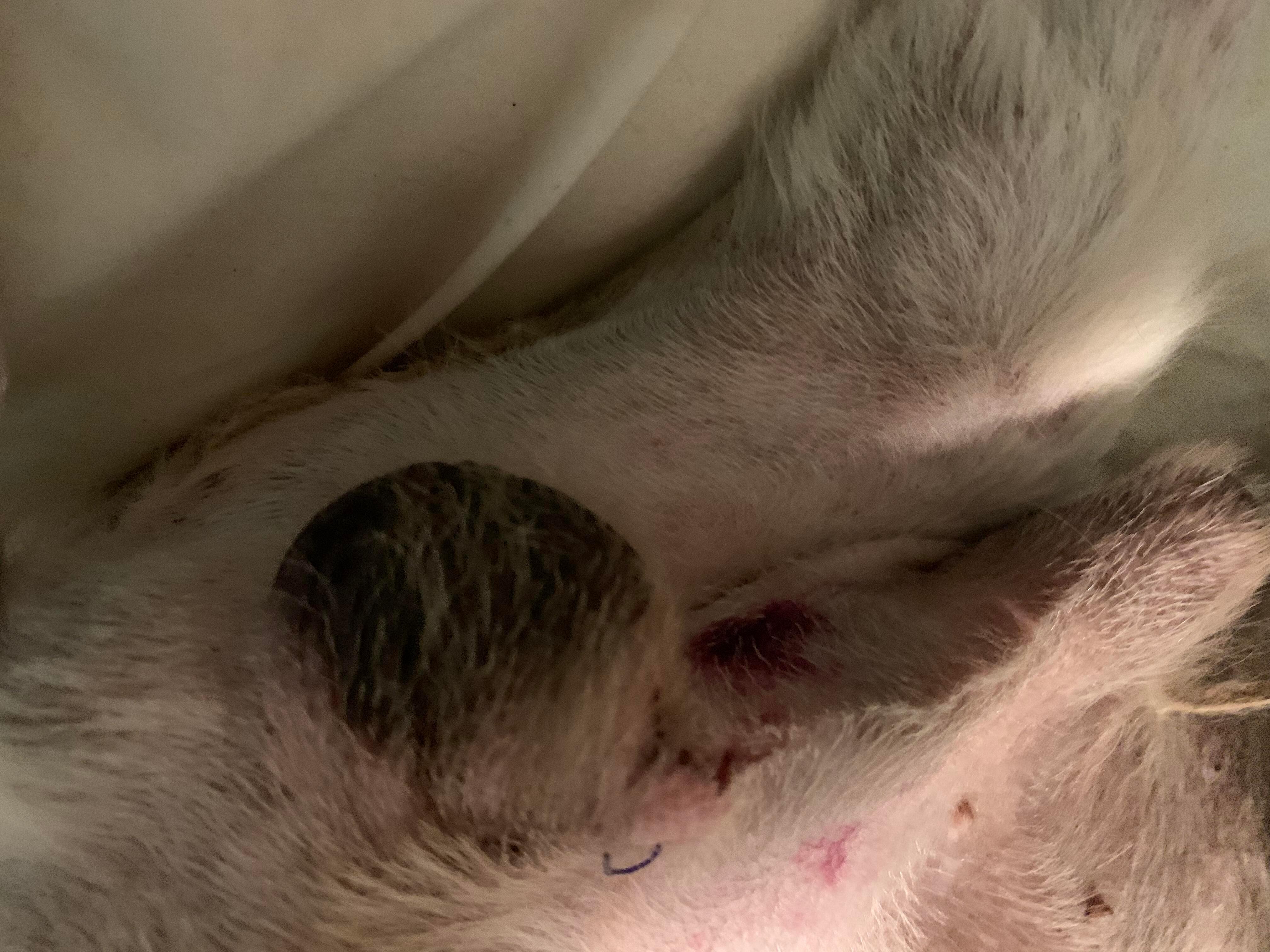 Question details sensitive content