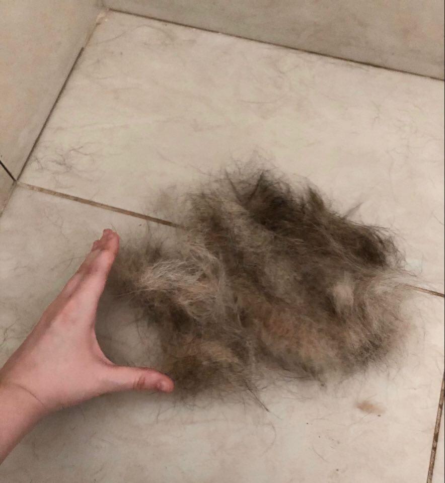 Question details sensitive content