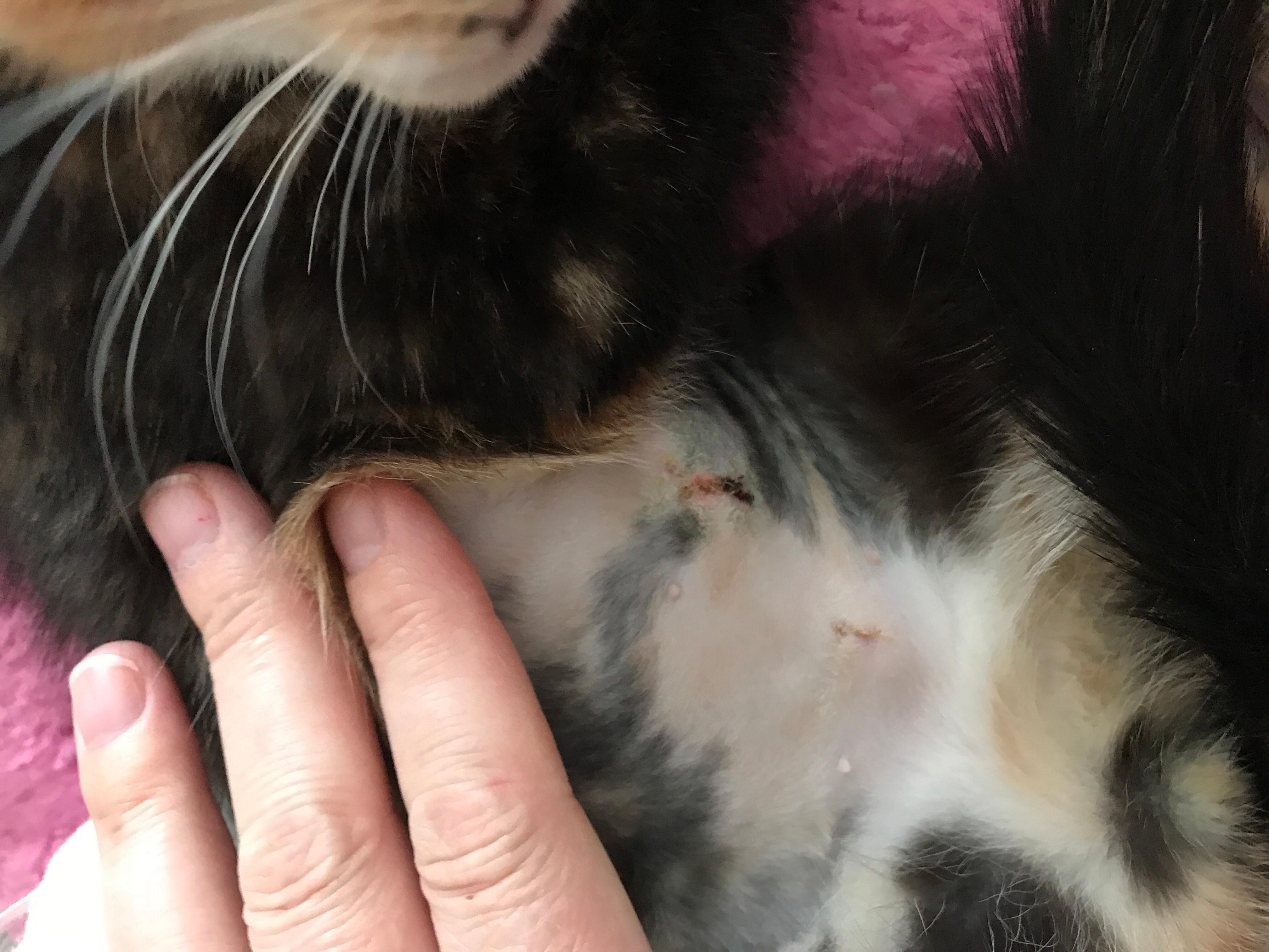 Question details sensitive content