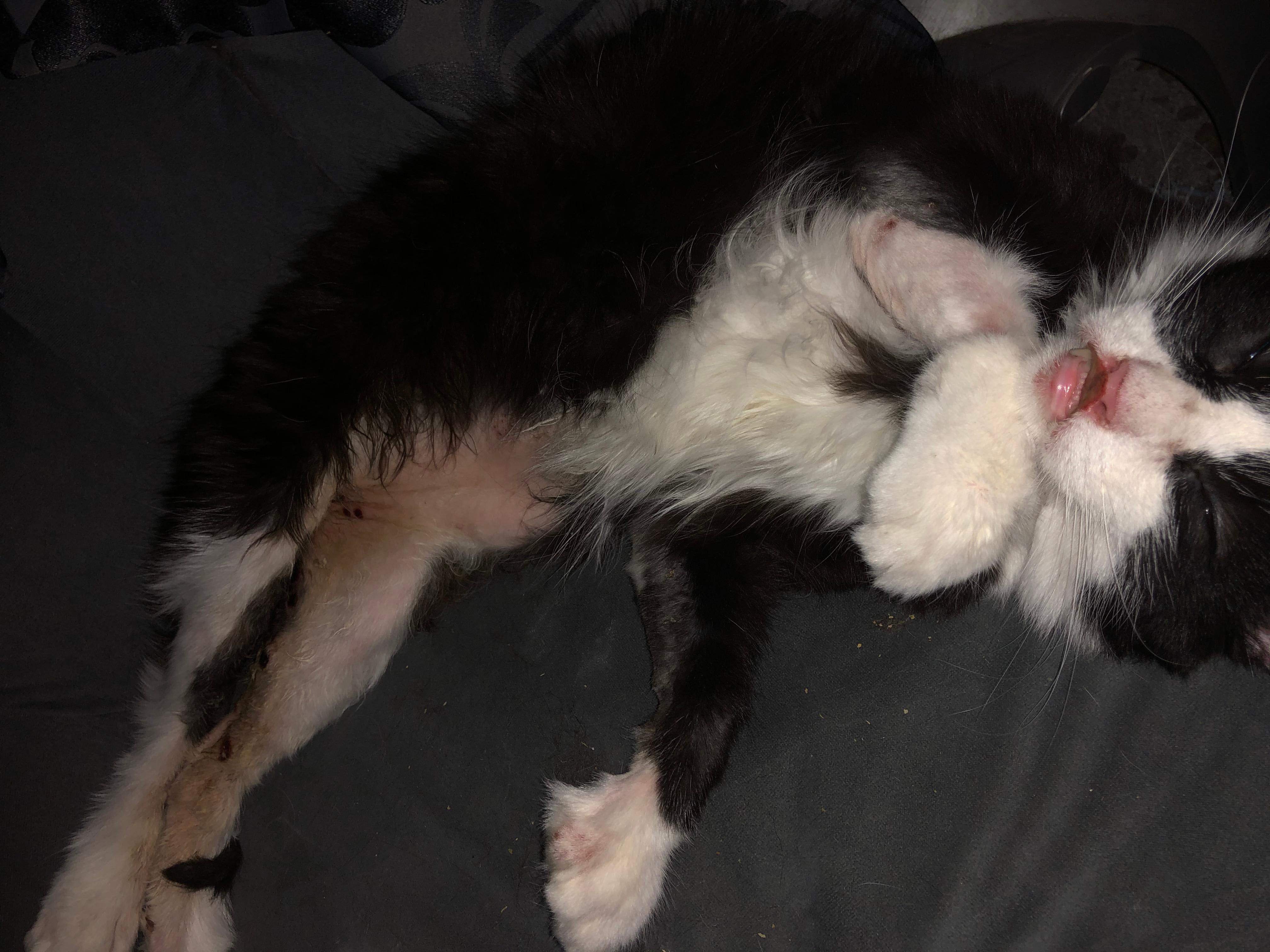 Question details sensitive content