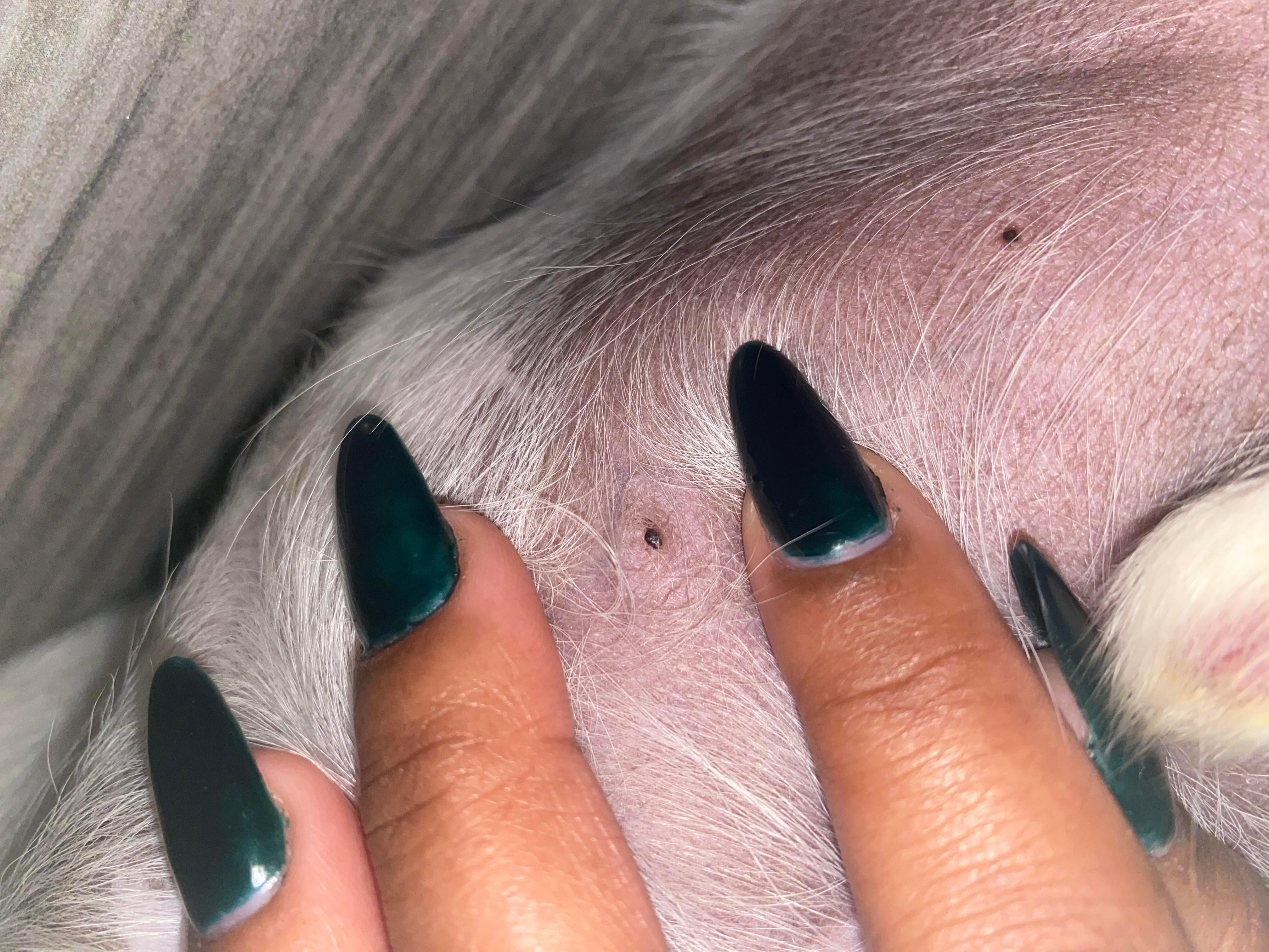 Question details sensitive content