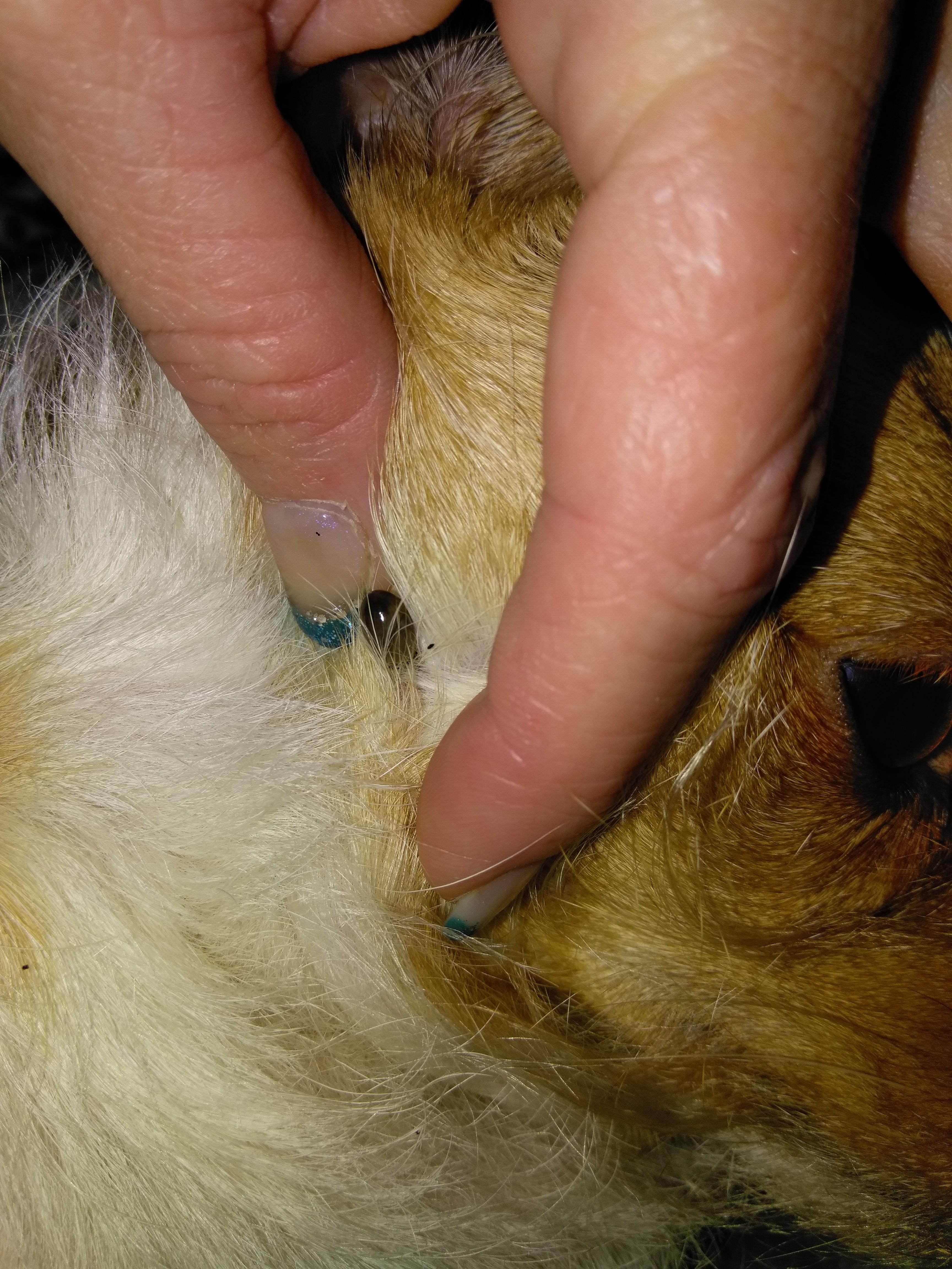 Question details sensitive content