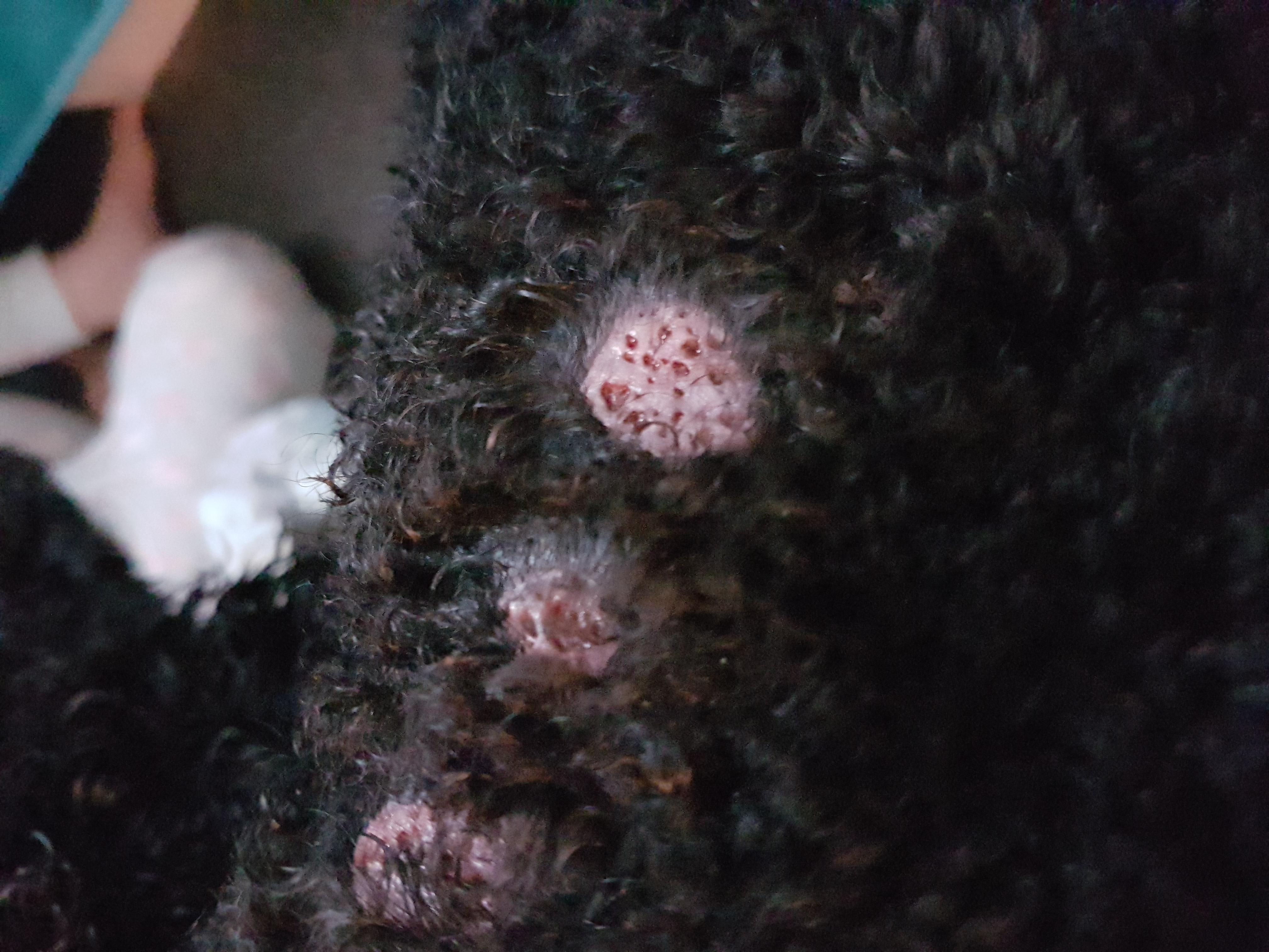 Question details sensitive content