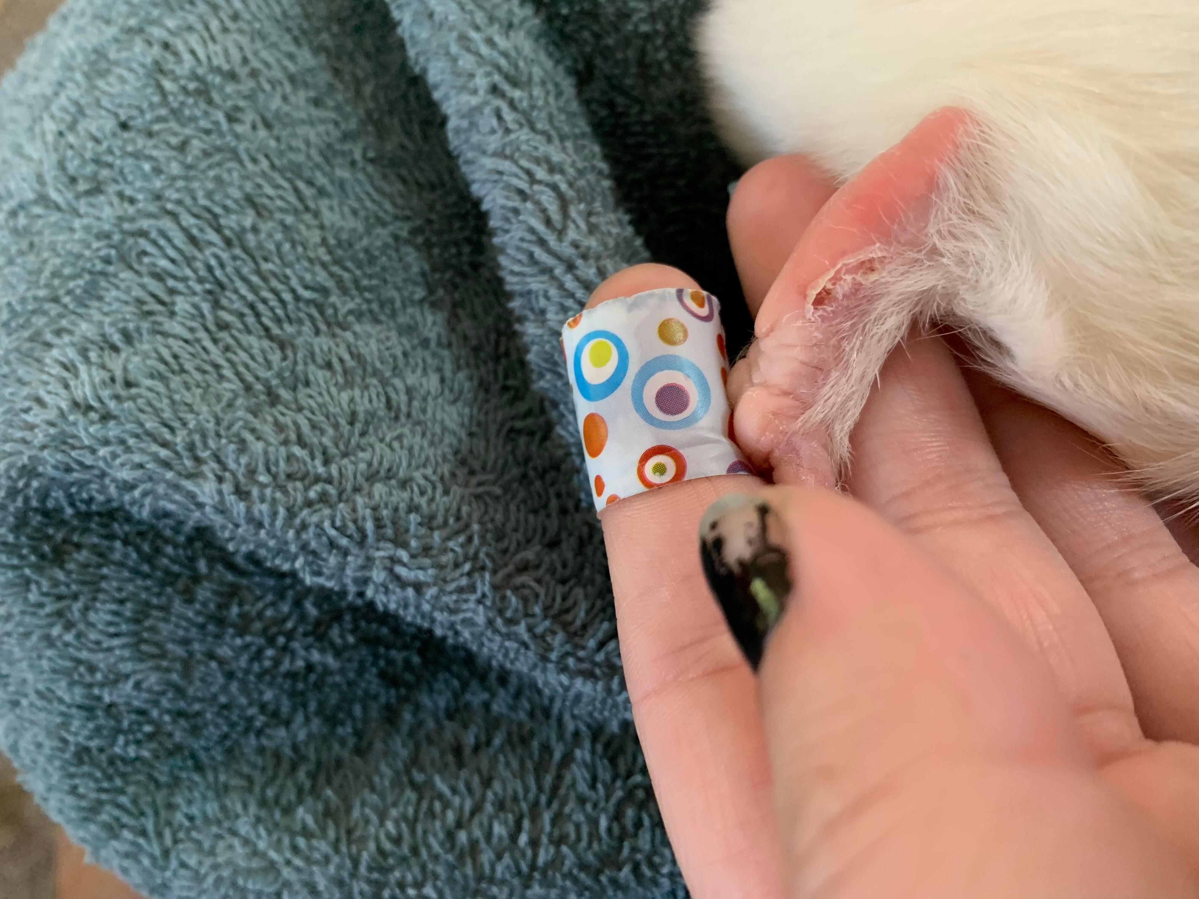 Question details sensitive content