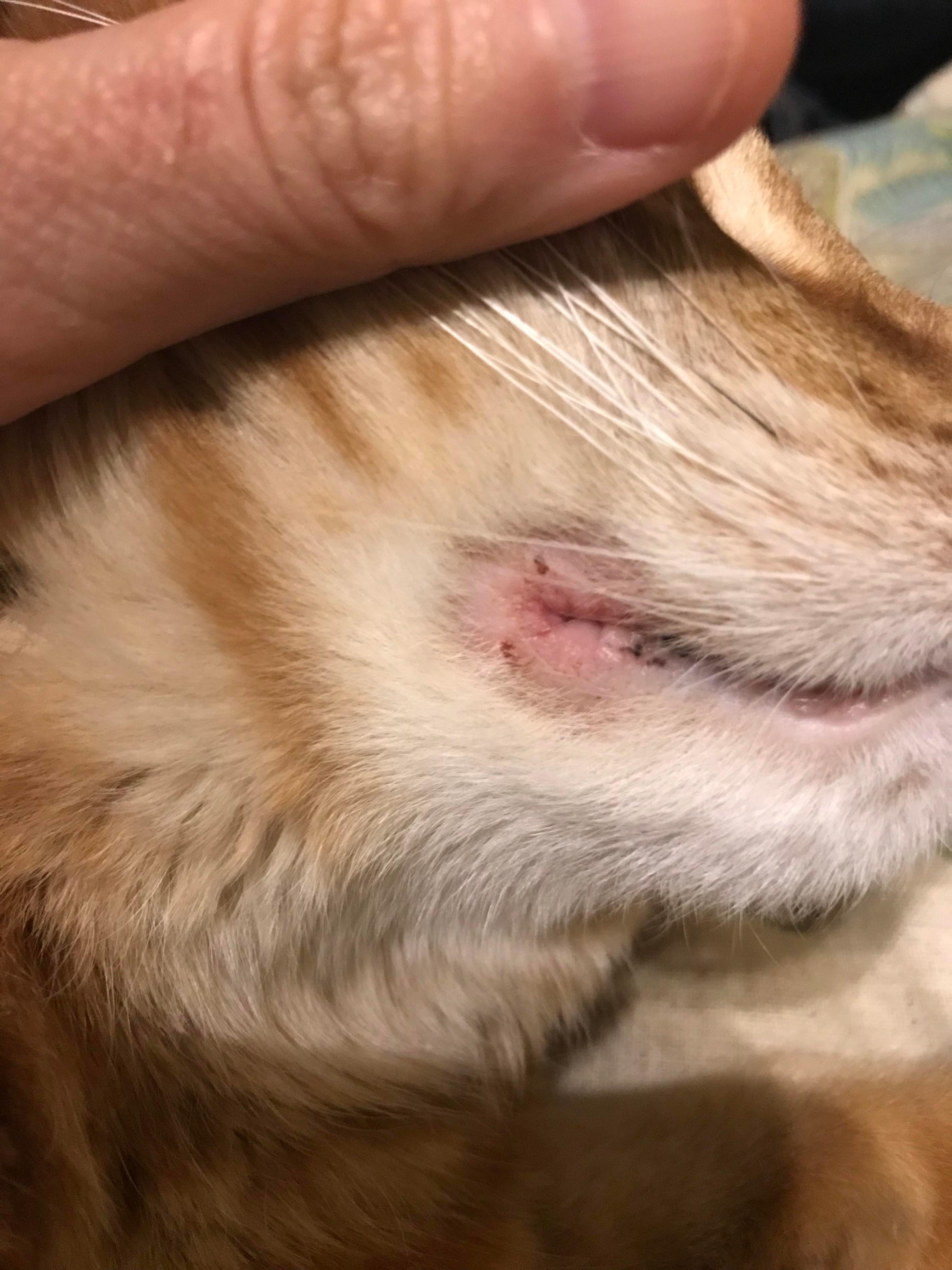 Question details sensitive content