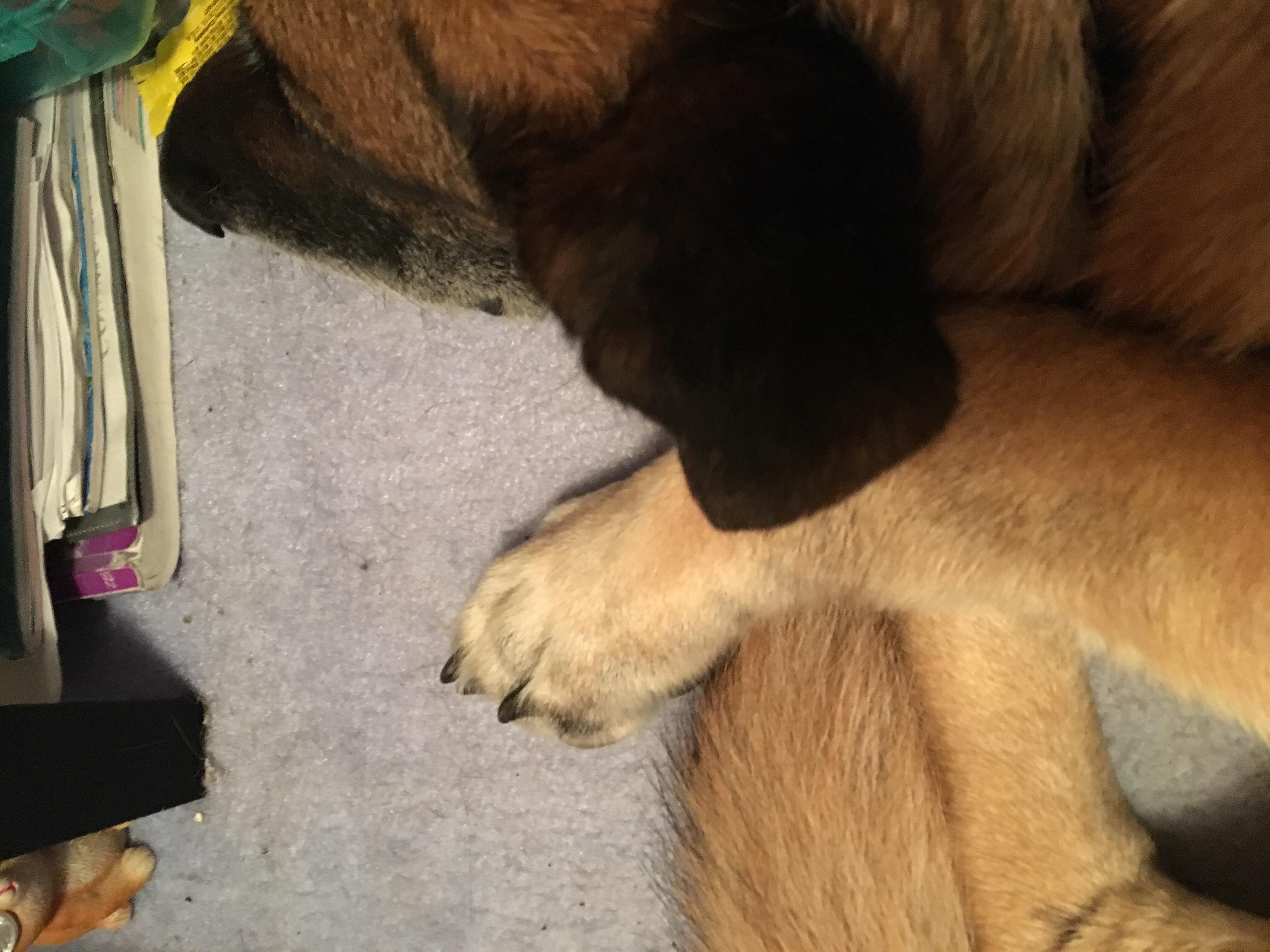 Question details sensitive content