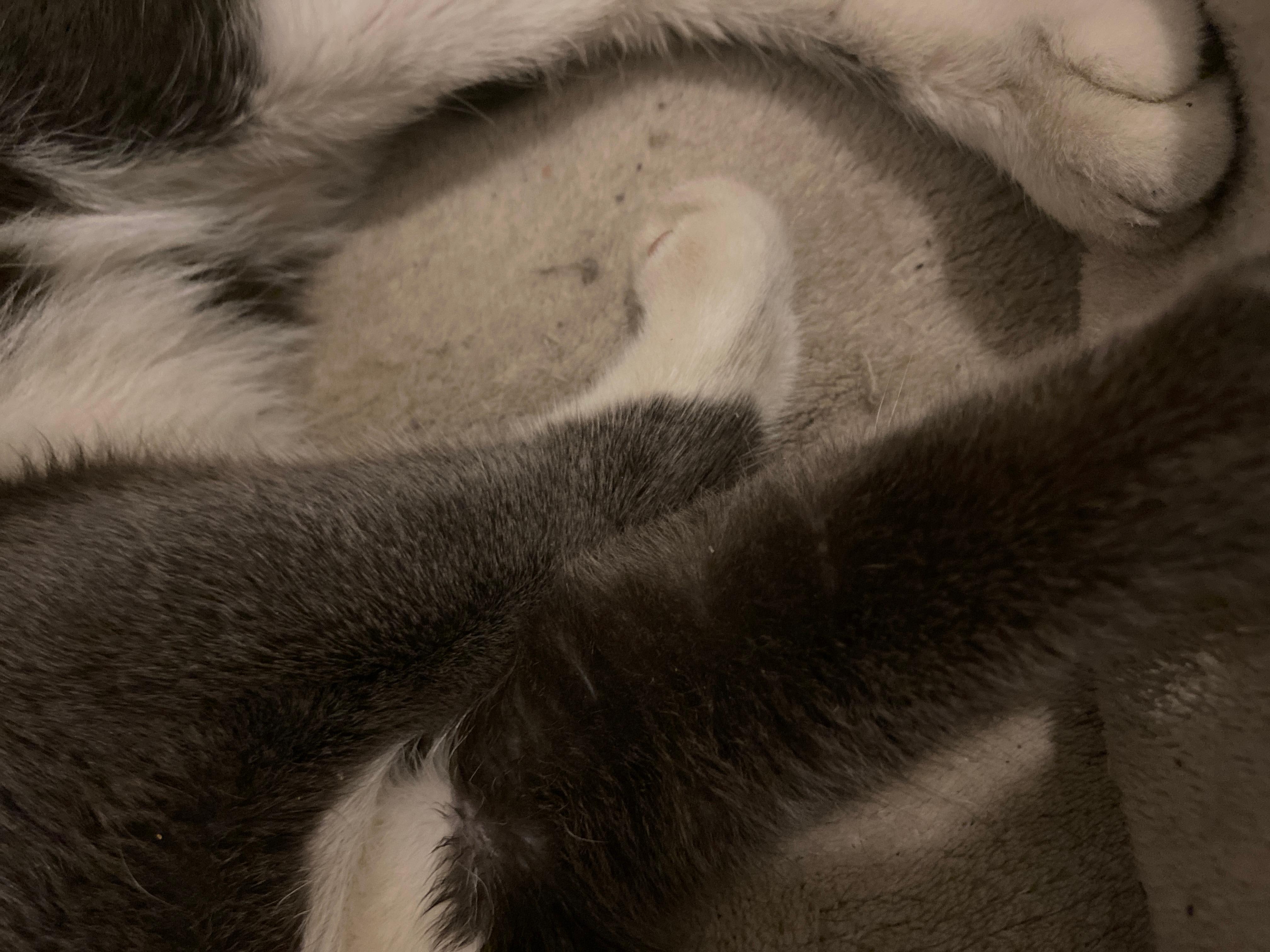 Question details sensitive content