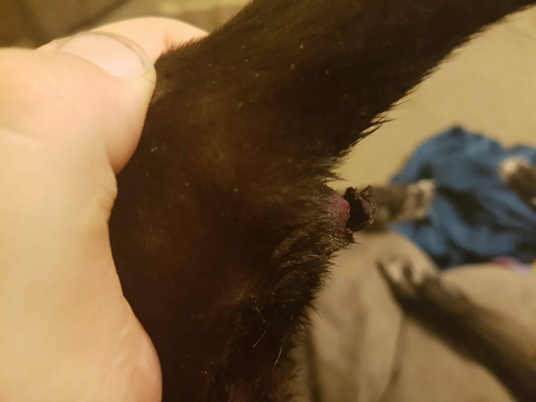 Question details sensitive content