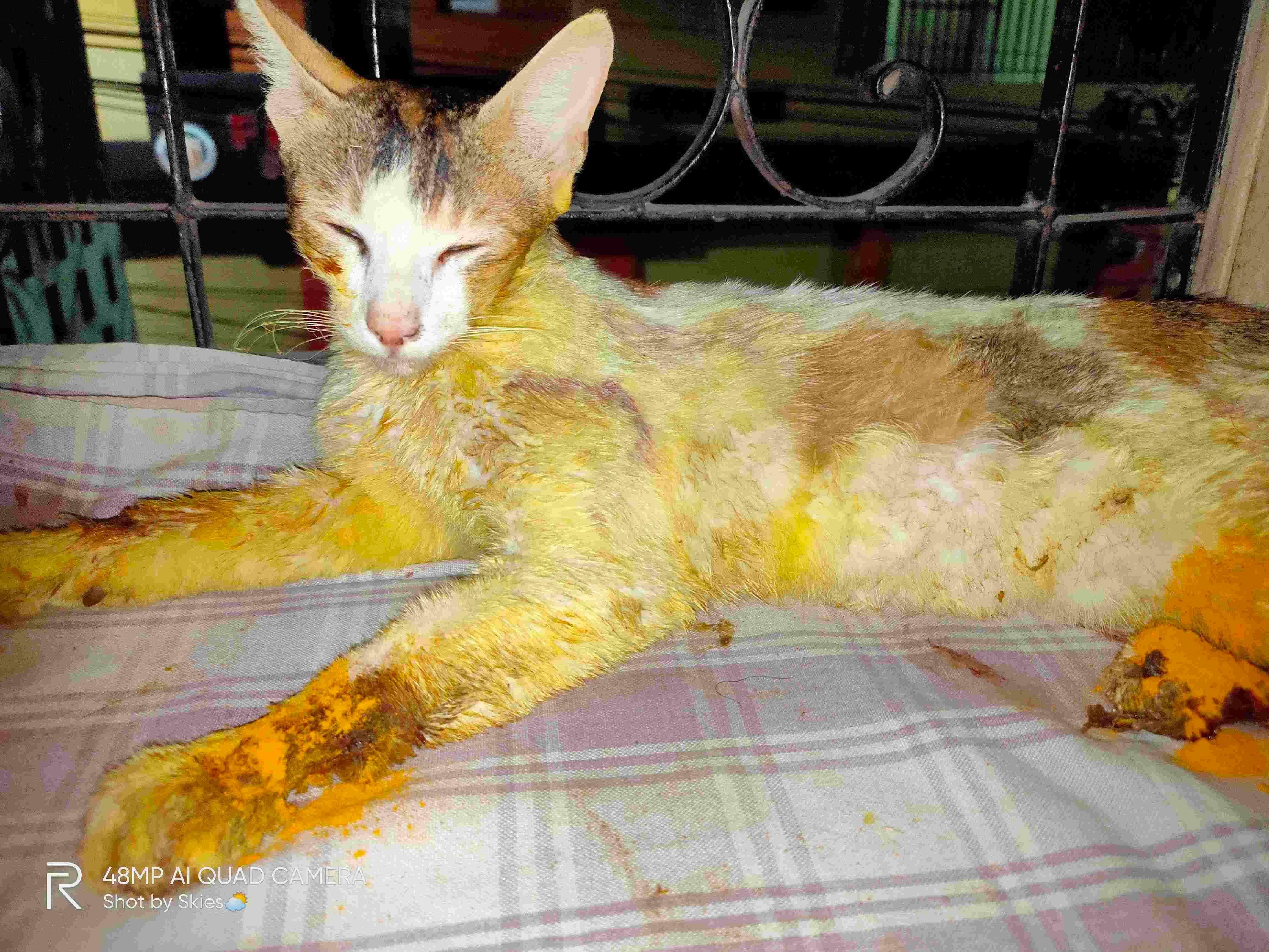 Question details sensitive content