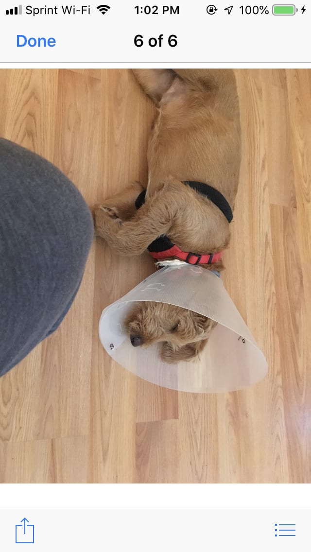 Question details sensitive content