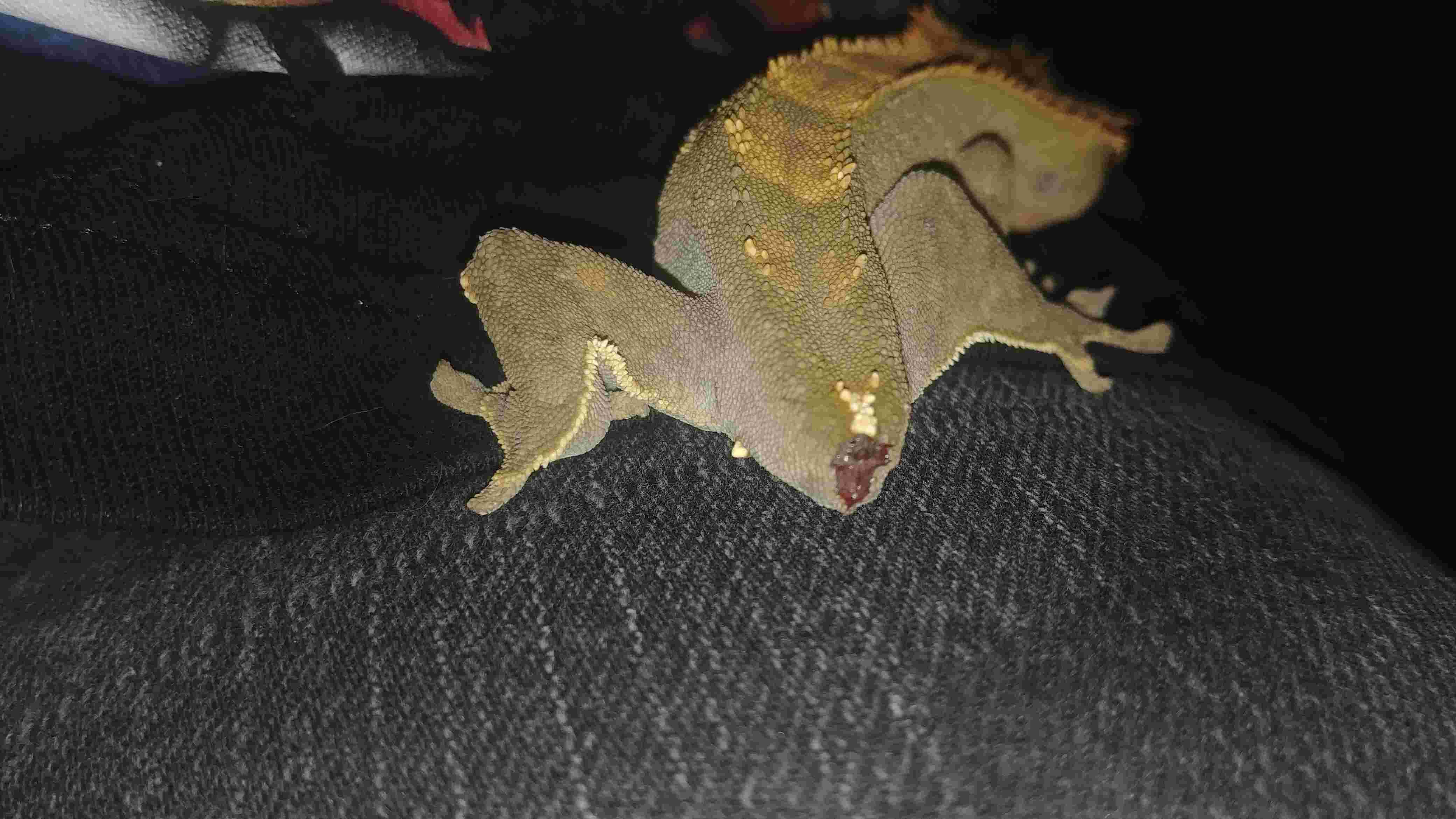 Question details sensitive content