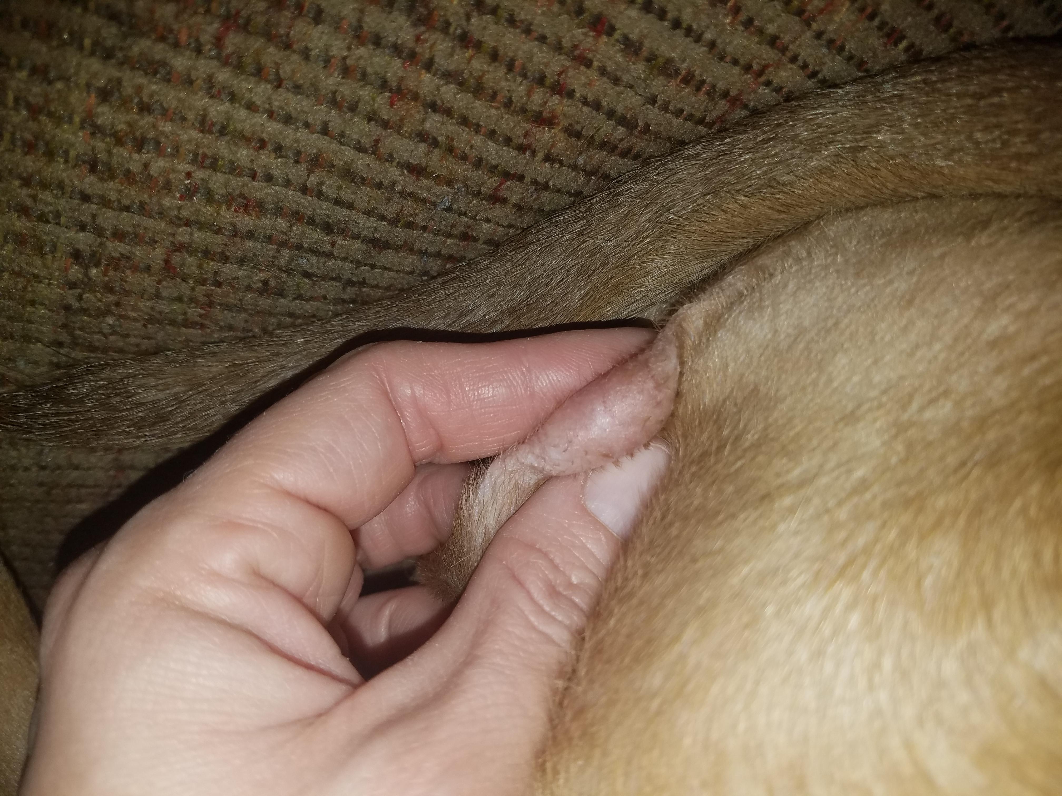 Question details sensitive content