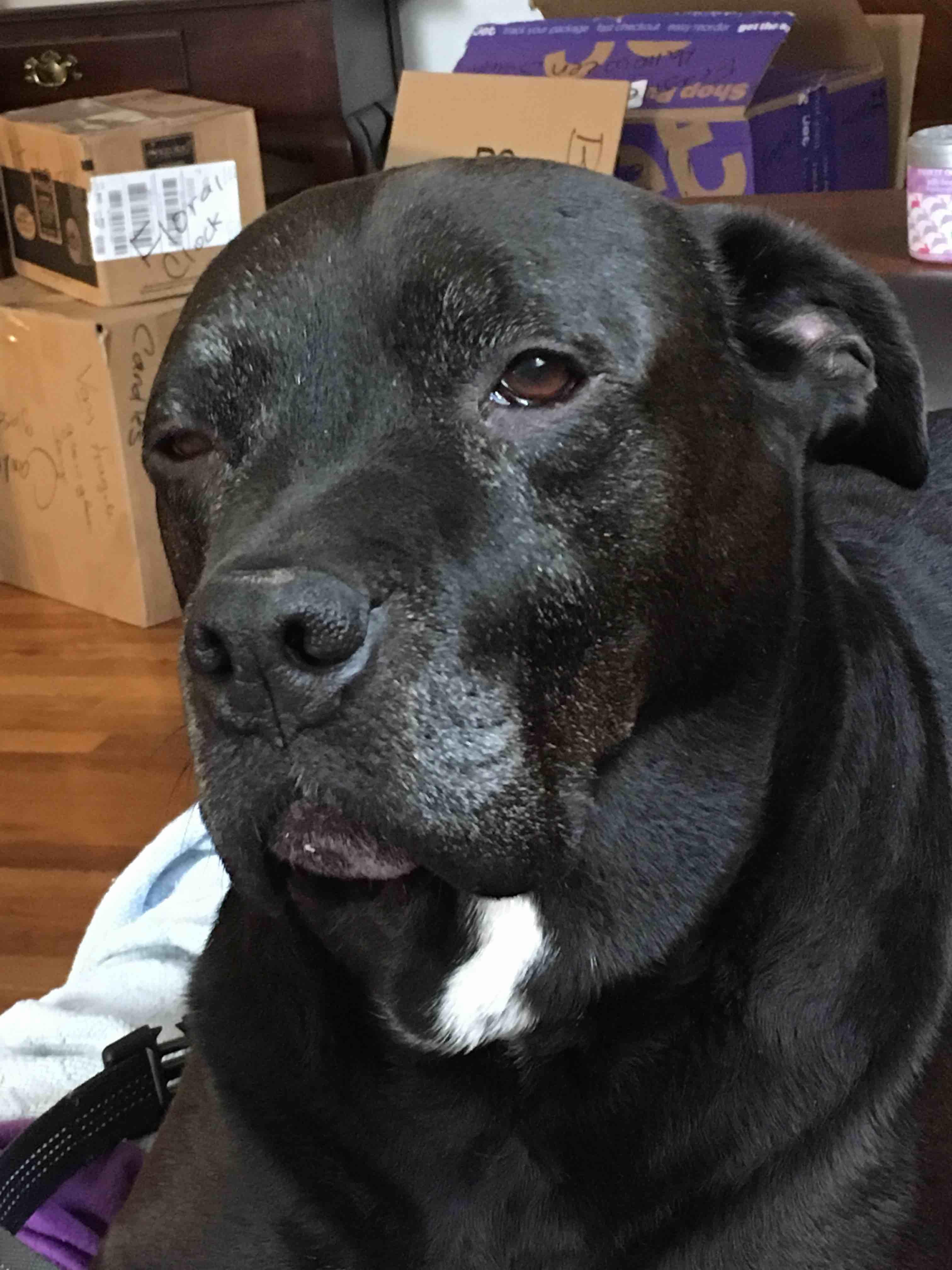 Question details sensitive content