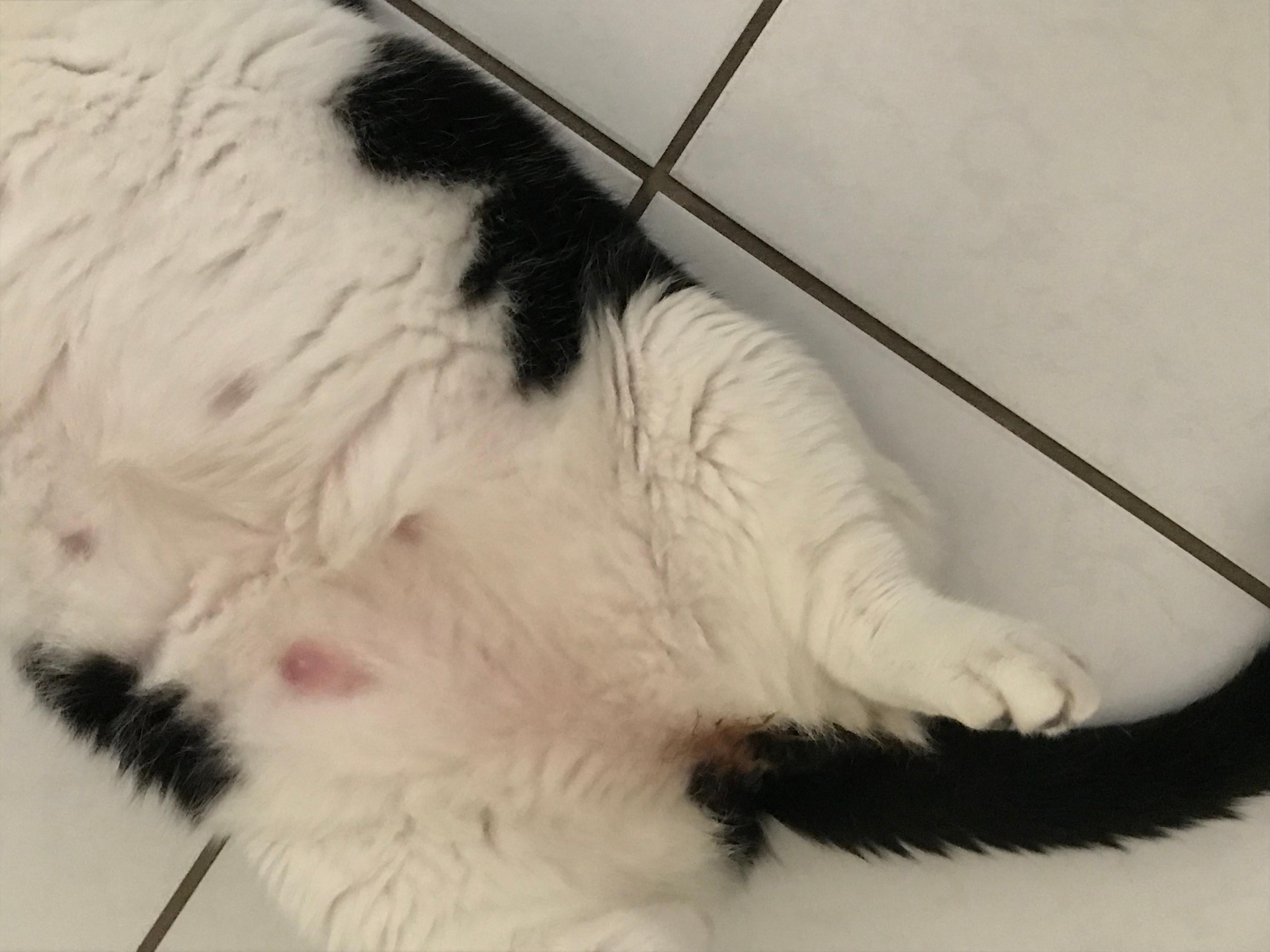 Question details sensitive content