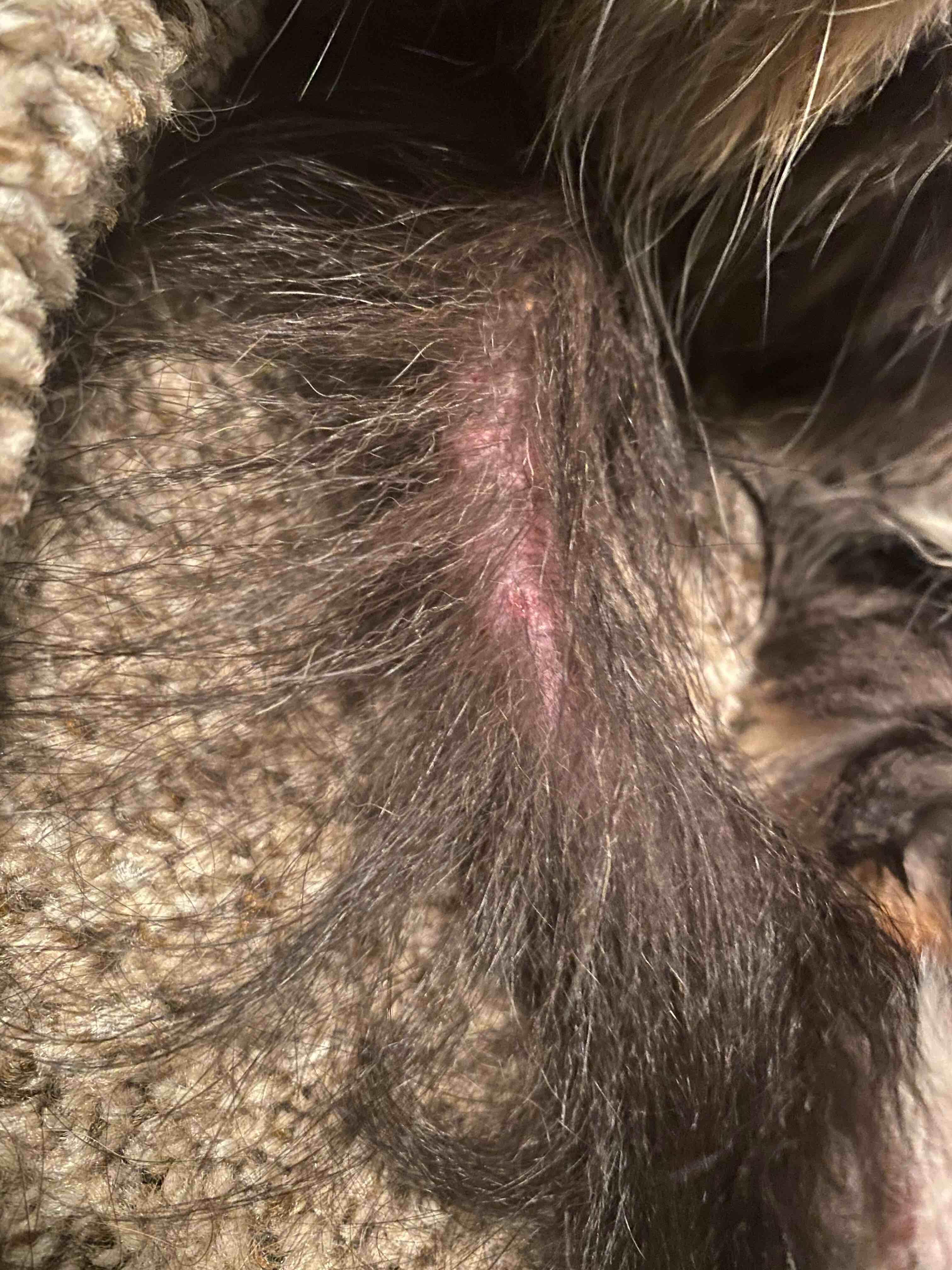 Question details sensitive content