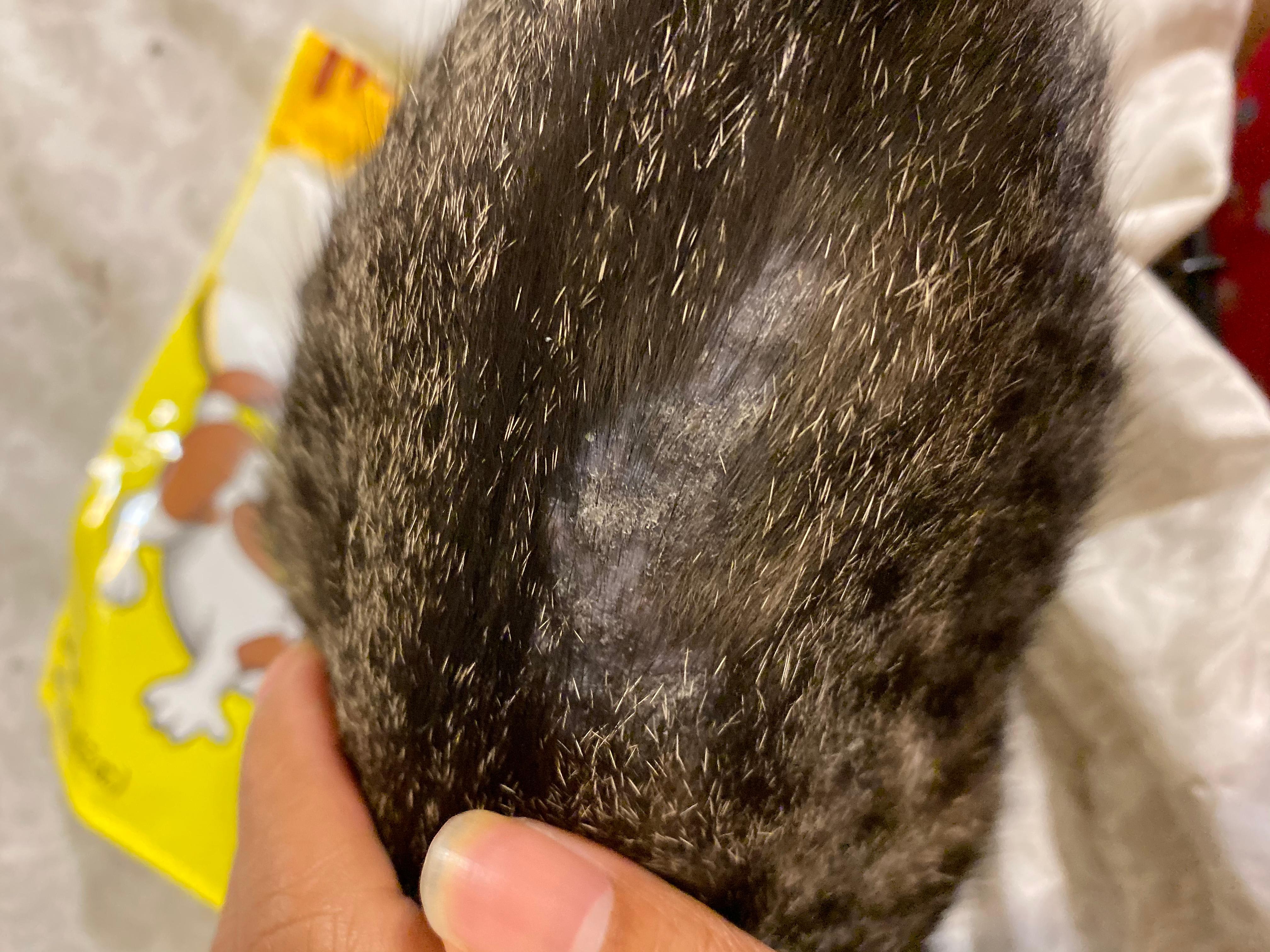 Question details sensitive content