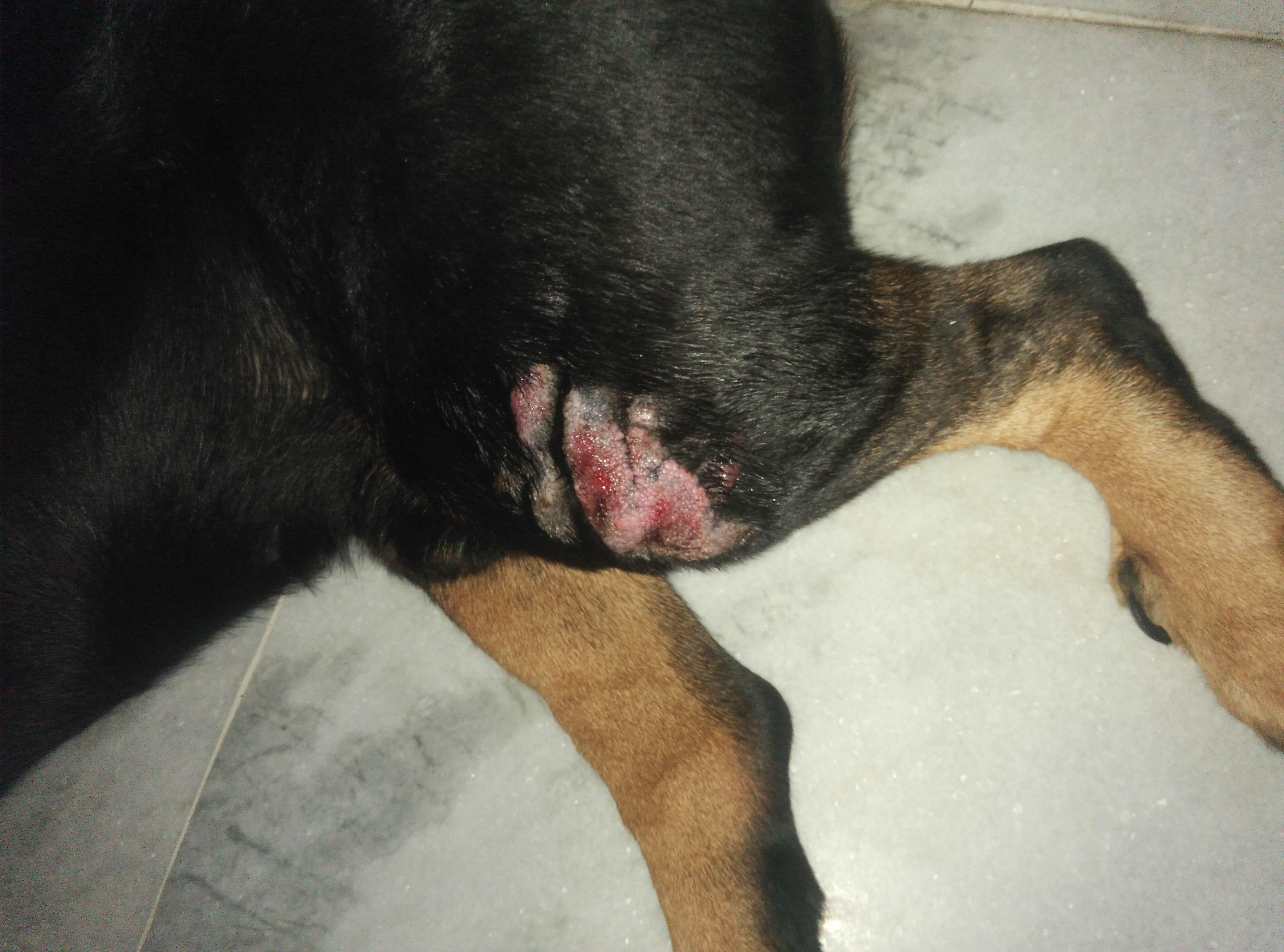 Question details sensitive content